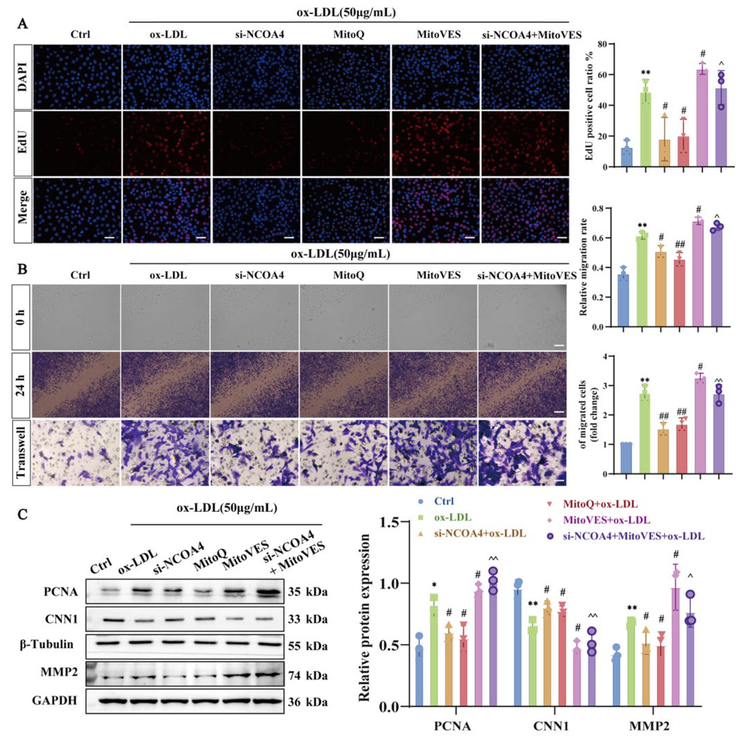 Nutrients 17 03713 g007