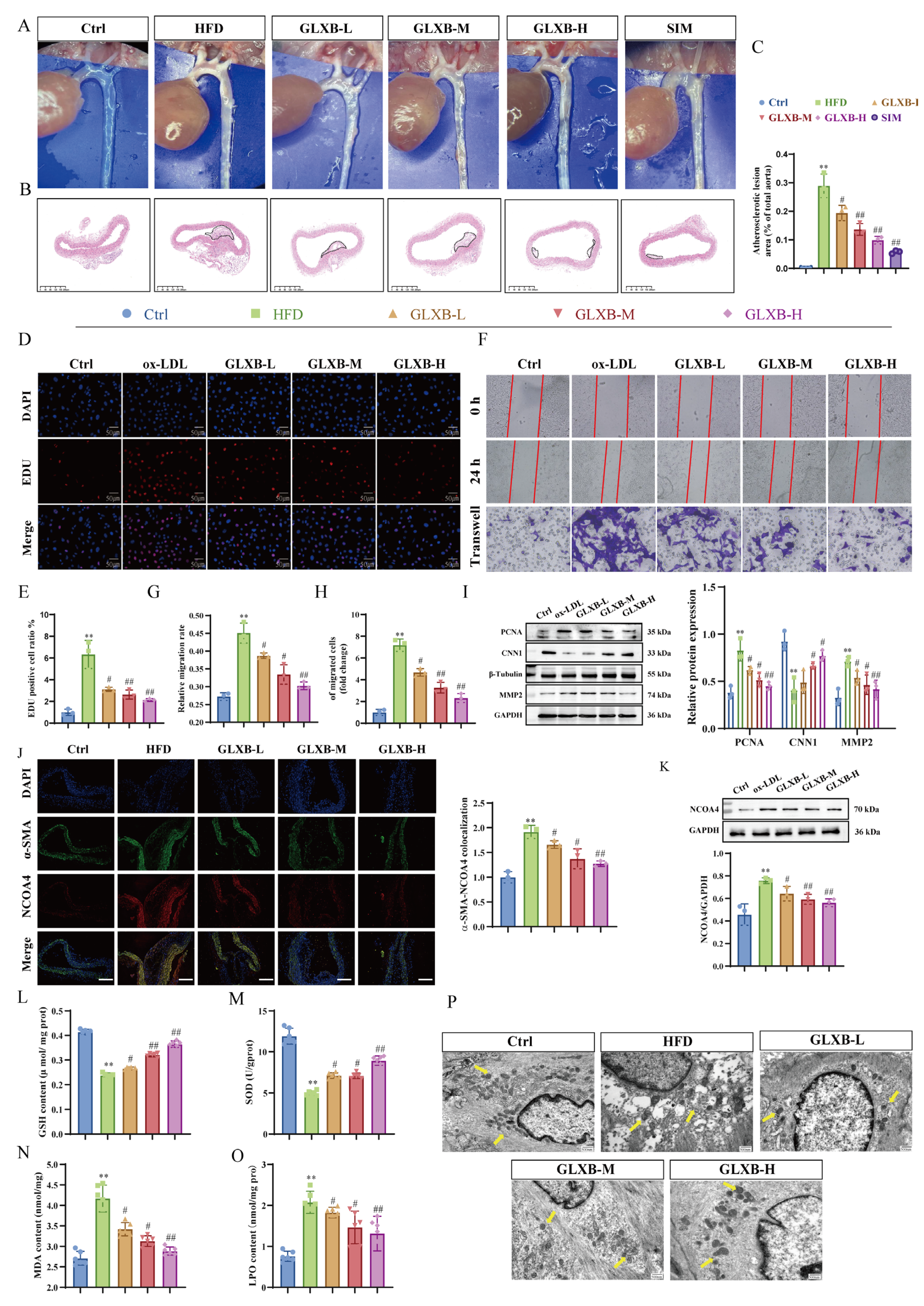 Nutrients 17 03713 g008
