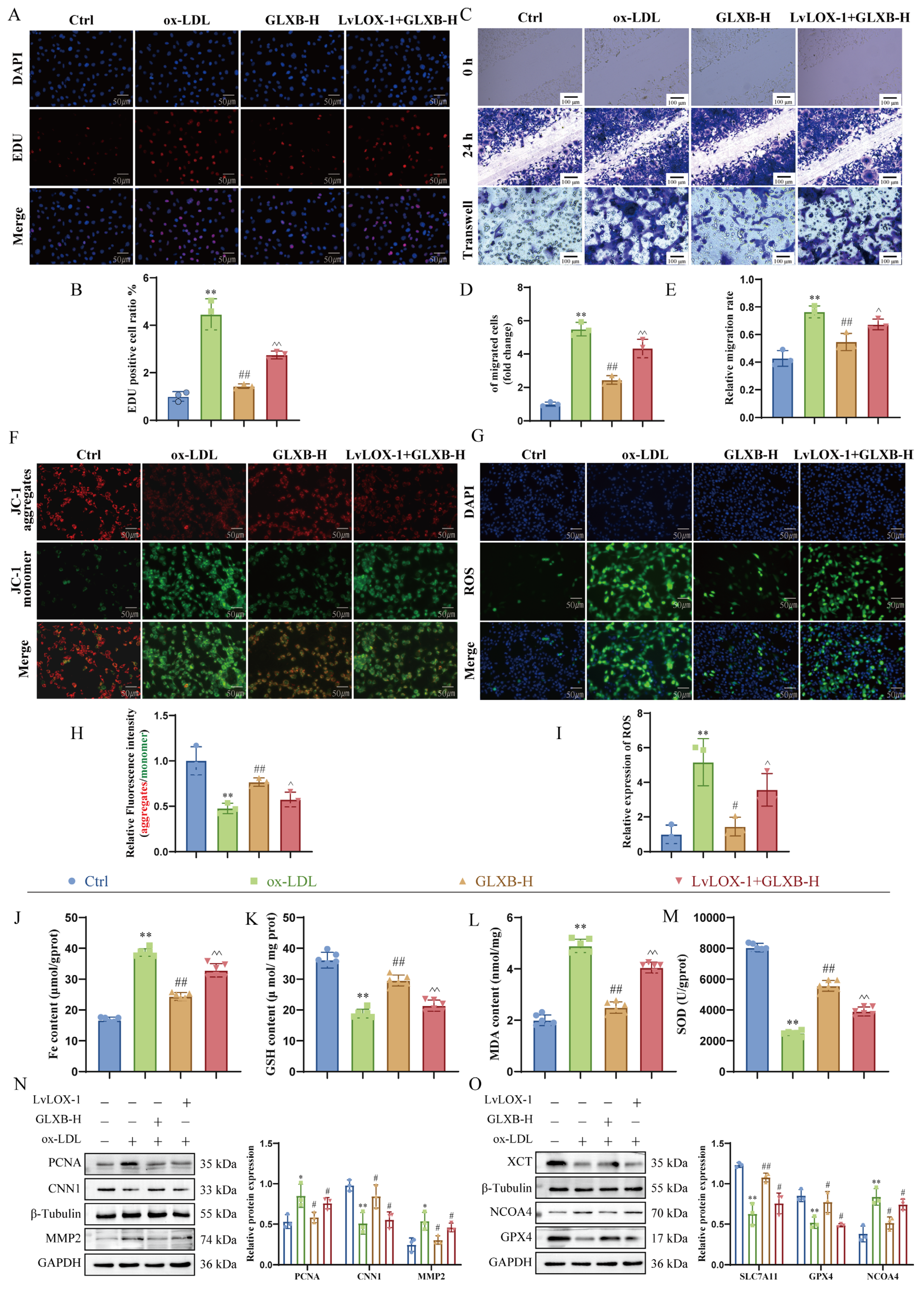 Nutrients 17 03713 g009