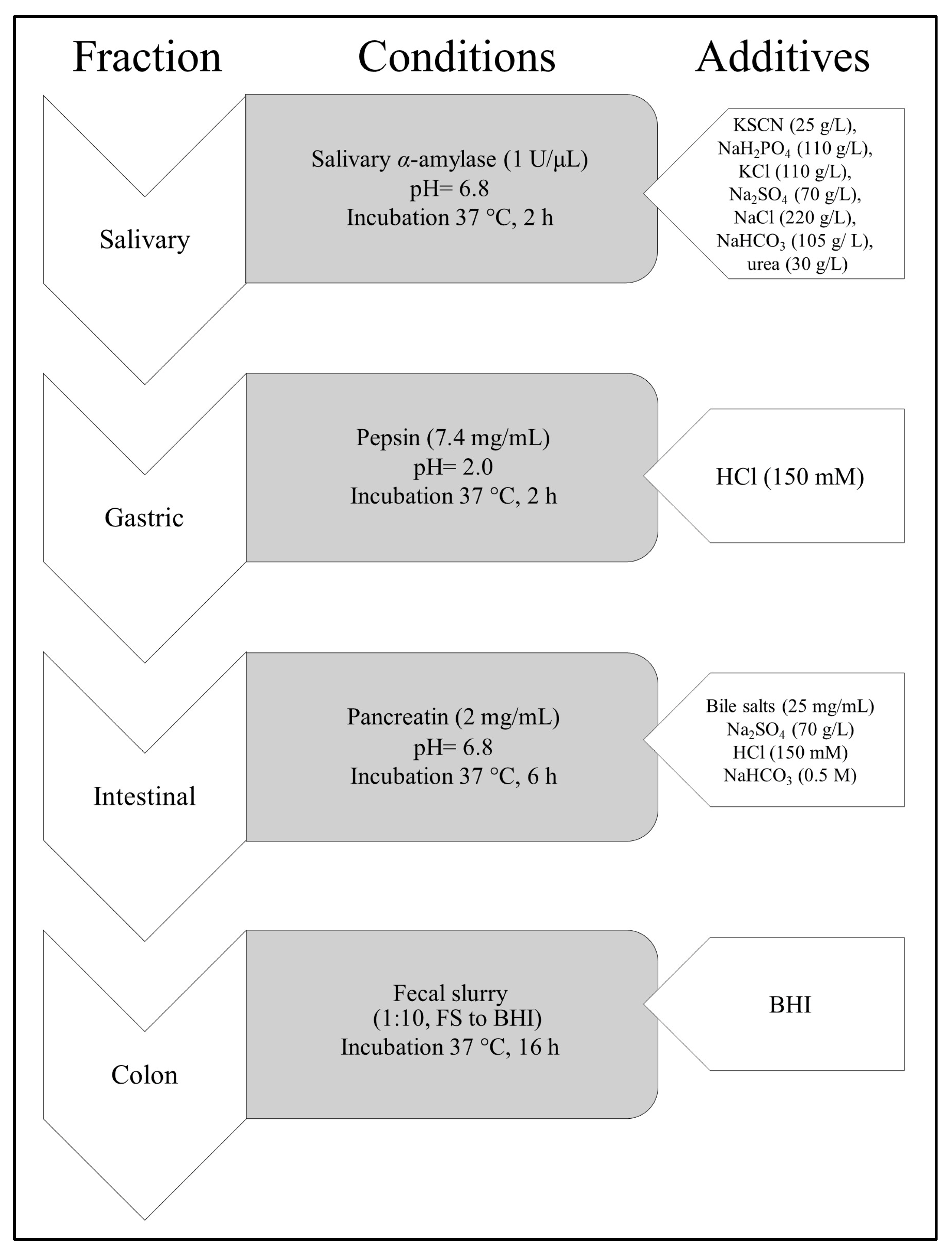 Nutrients 17 03716 g001