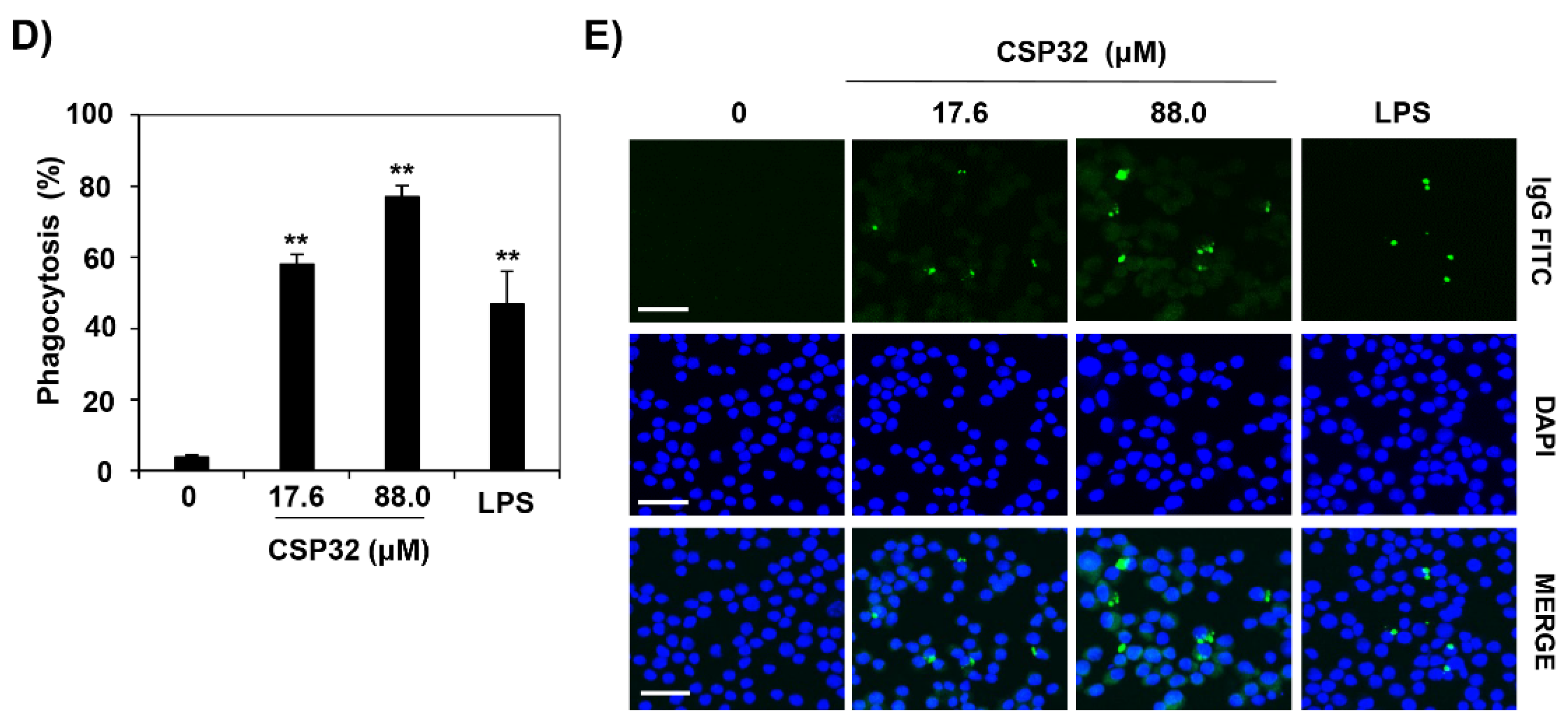 Nutrients 17 03723 g001b