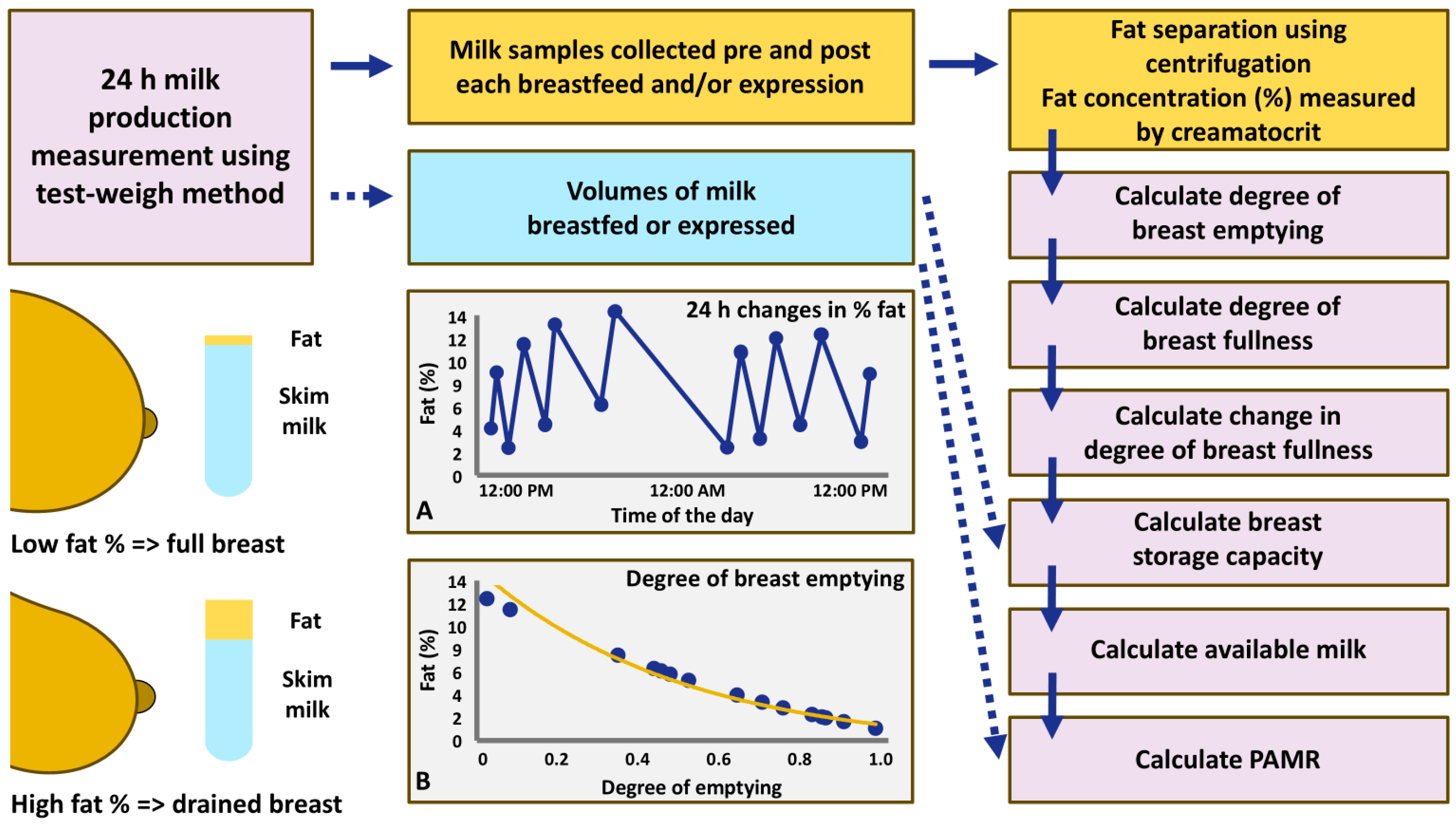 Nutrients 17 03726 g001