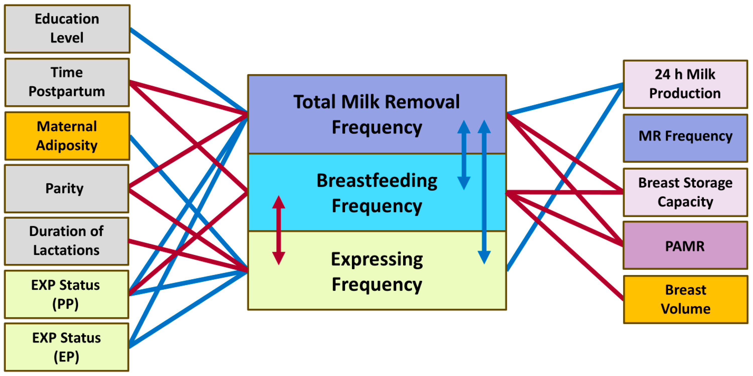 Nutrients 17 03726 g005