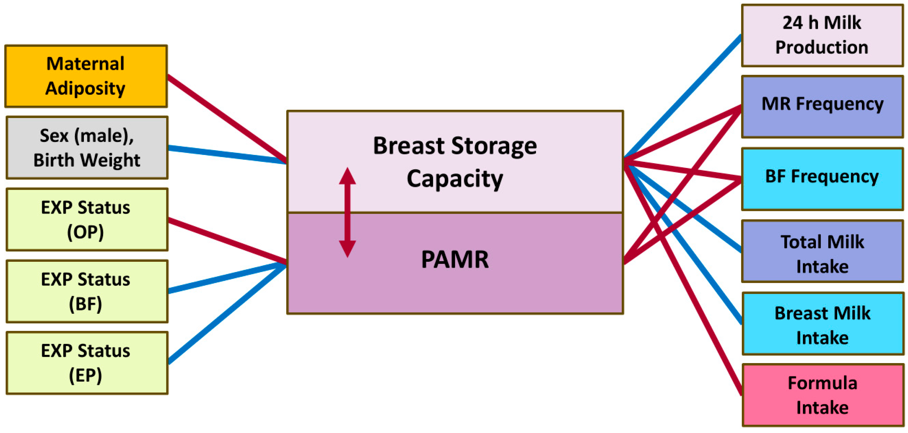 Nutrients 17 03726 g006