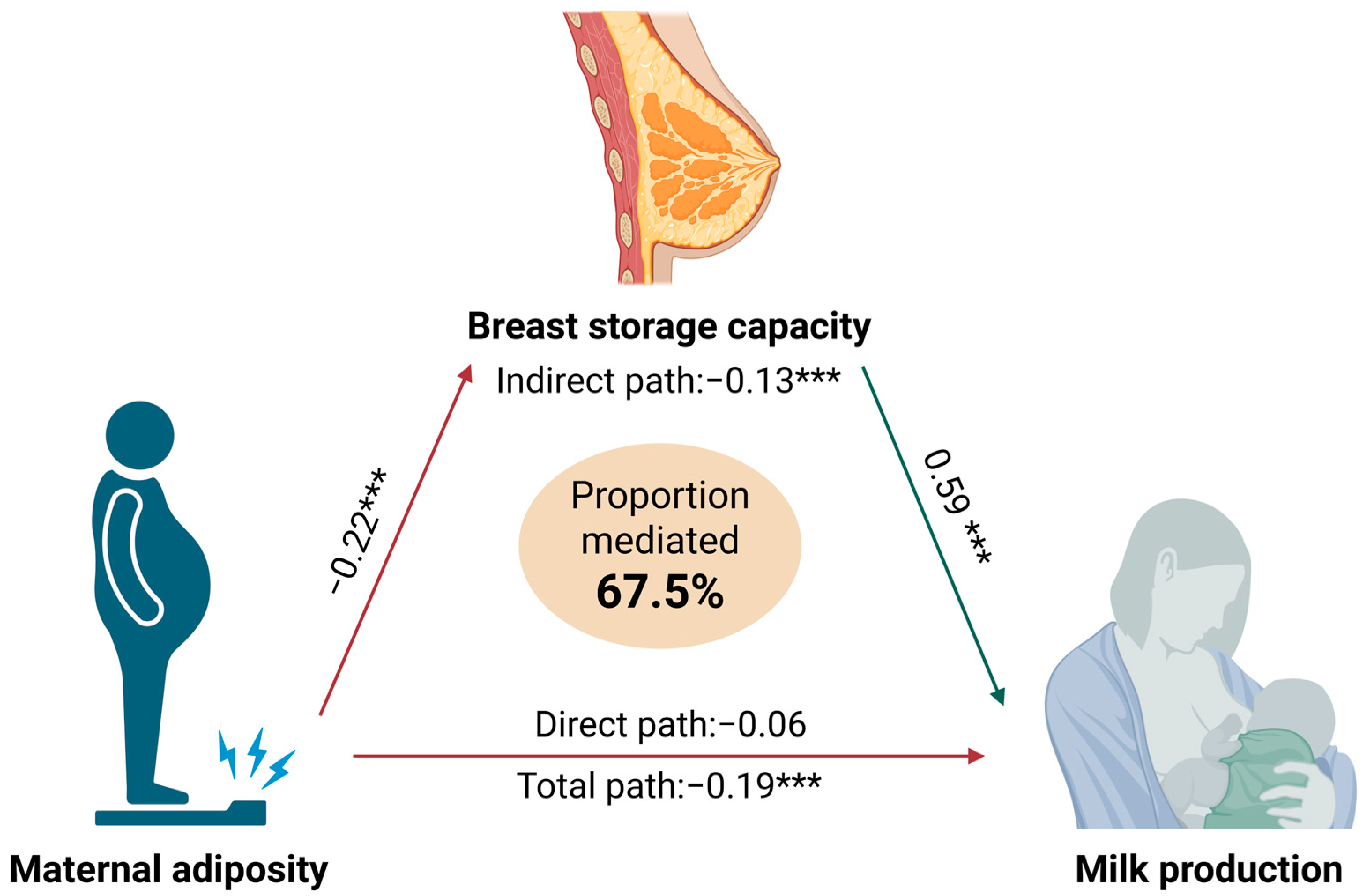 Nutrients 17 03726 g007