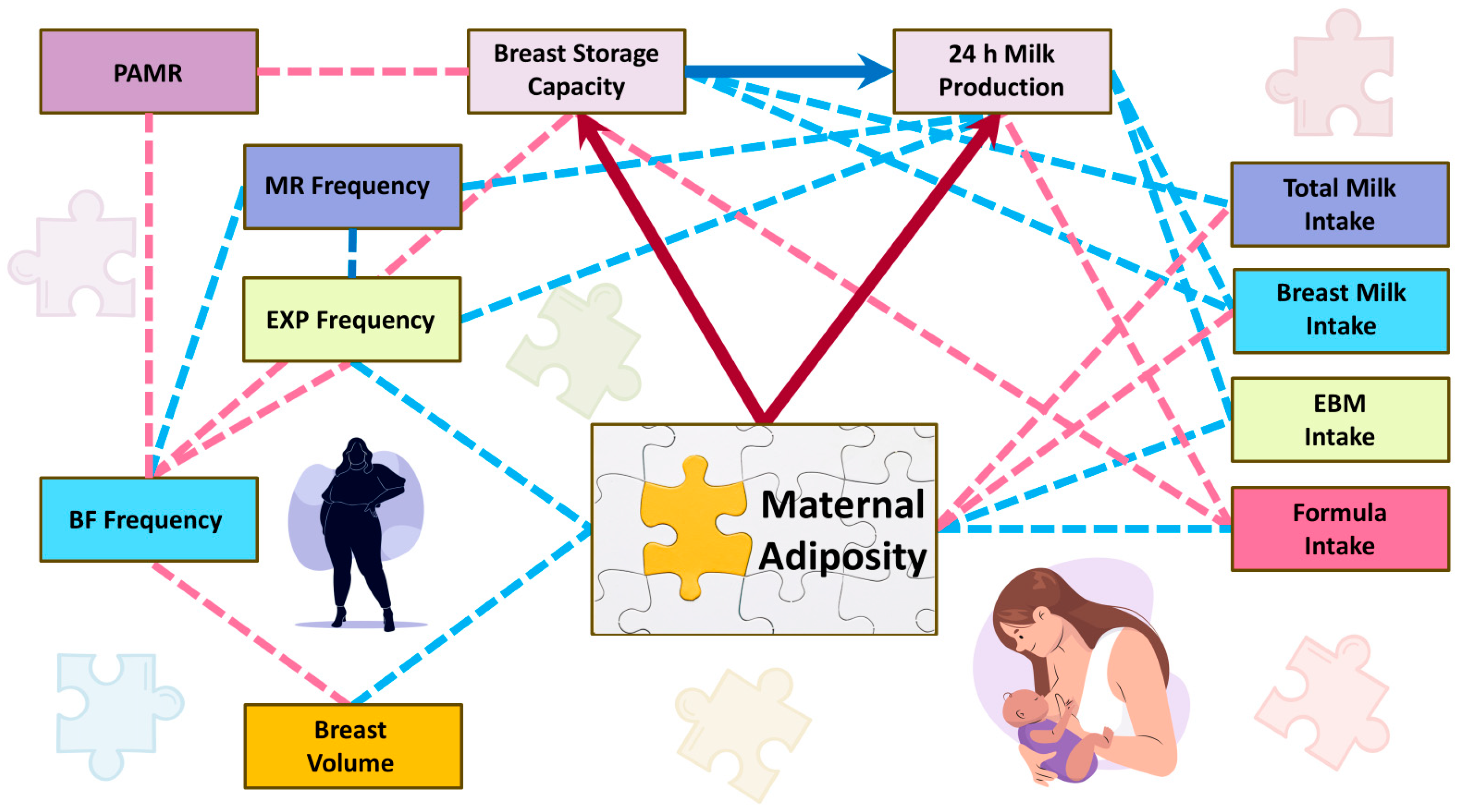 Nutrients 17 03726 g008