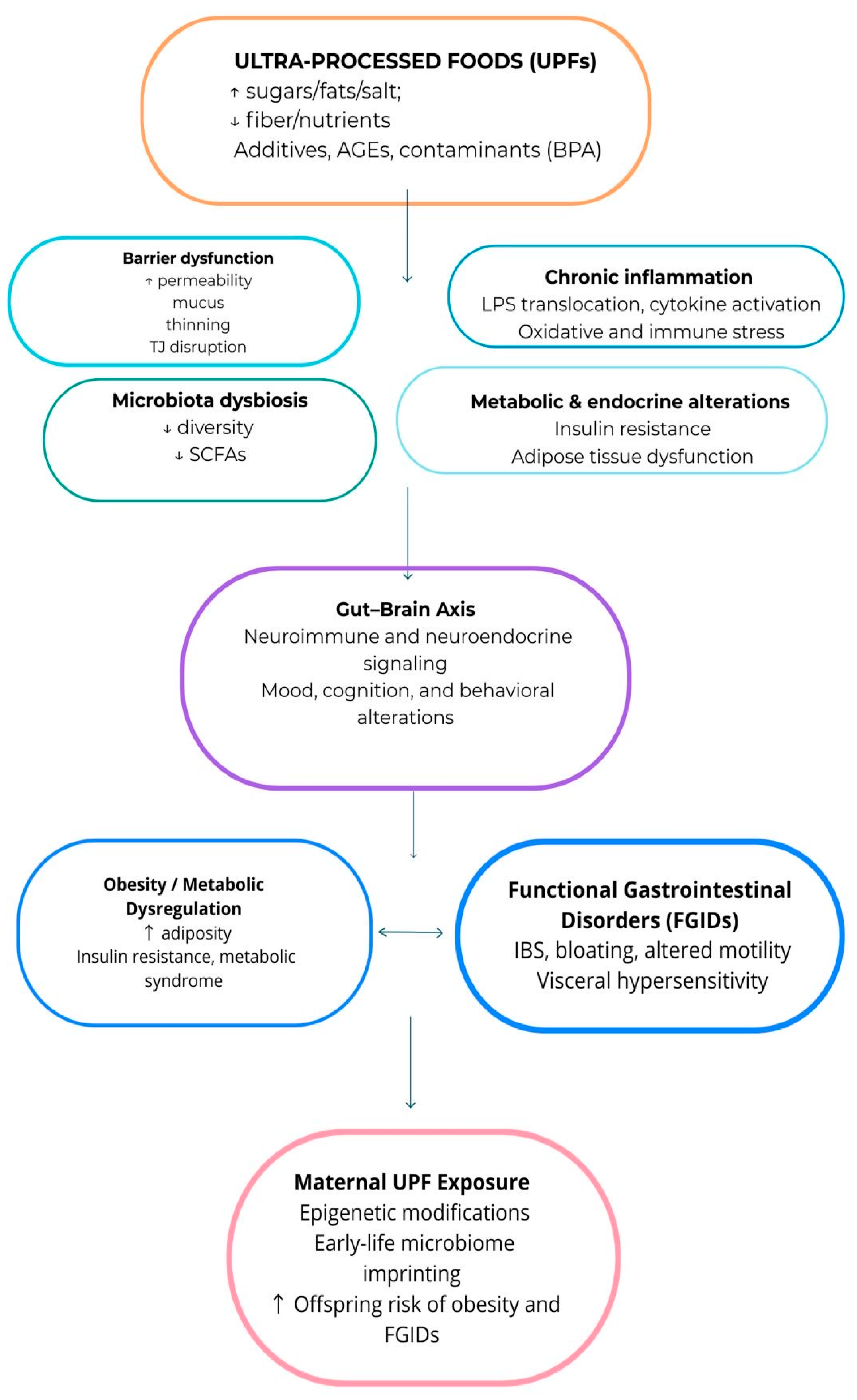 Nutrients 17 03744 g001