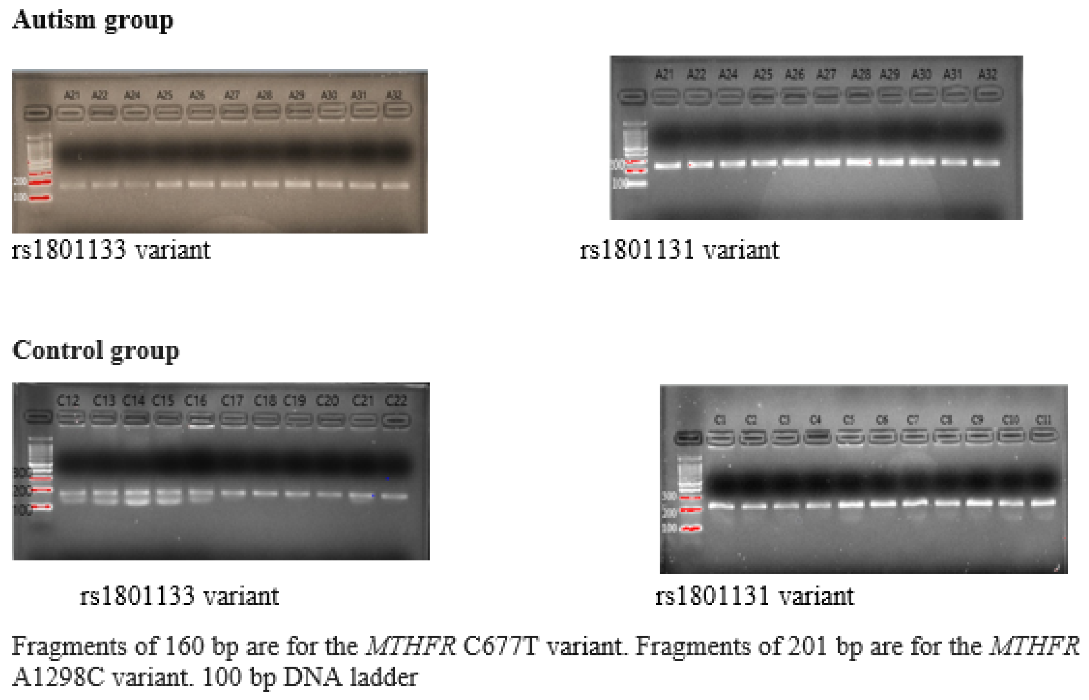 Nutrients 17 03761 g0a1