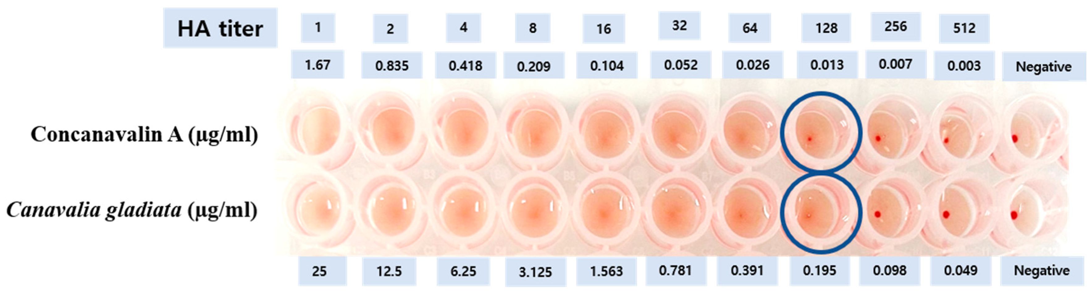 Nutrients 17 03764 g001