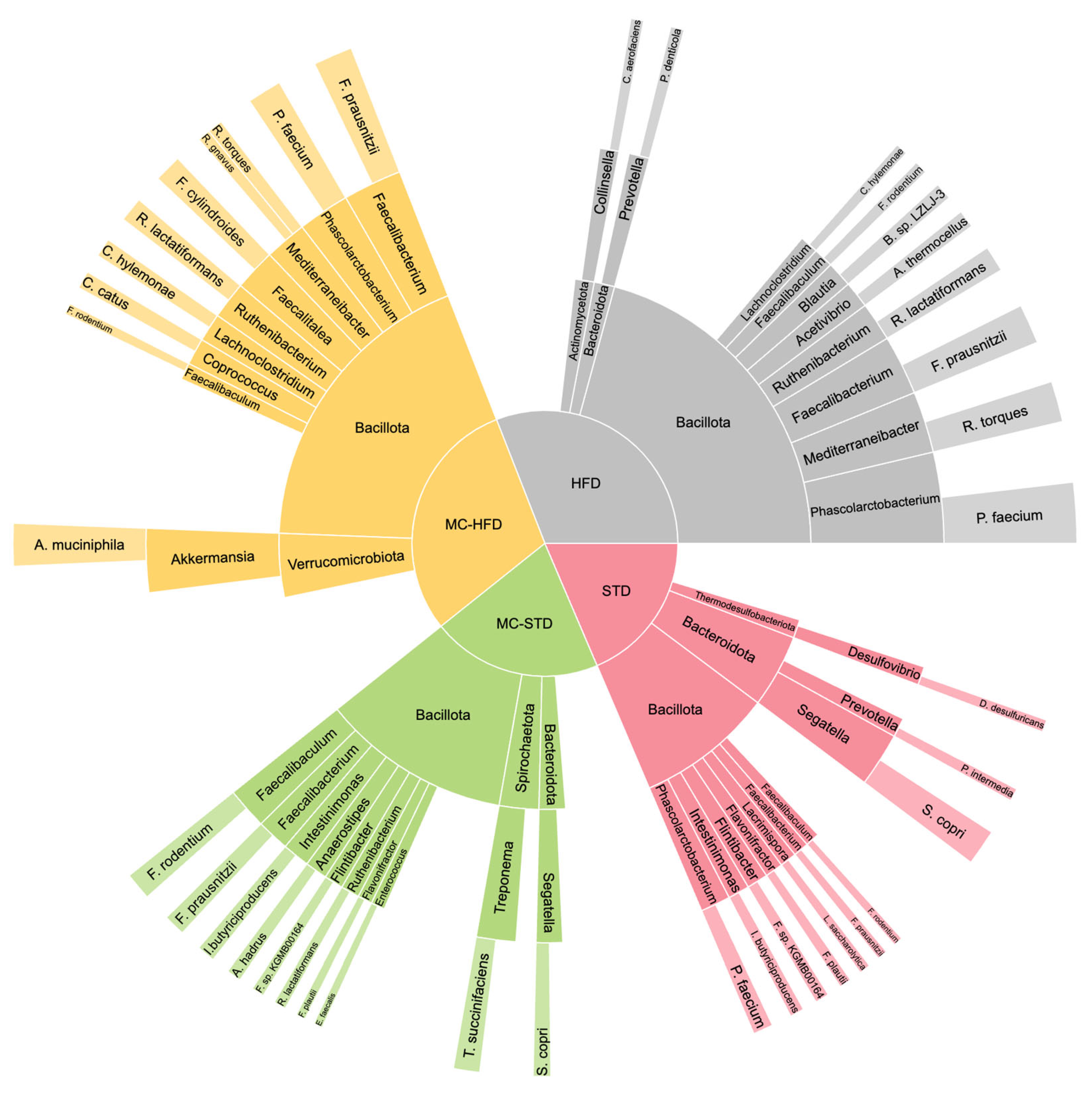 Nutrients 17 03780 g002