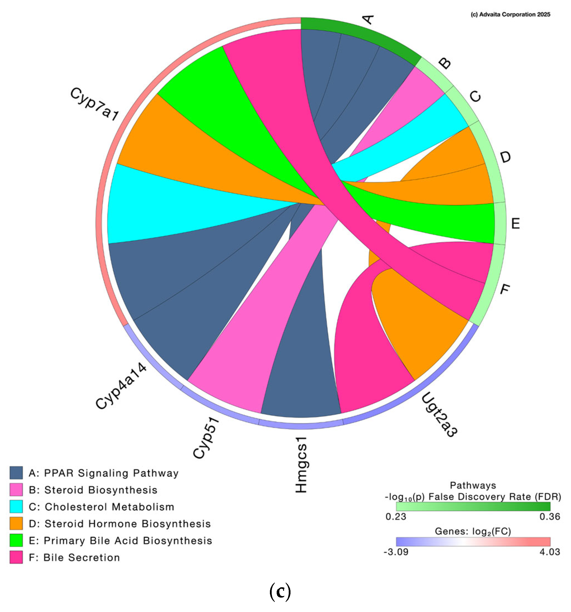 Nutrients 17 03780 g006b