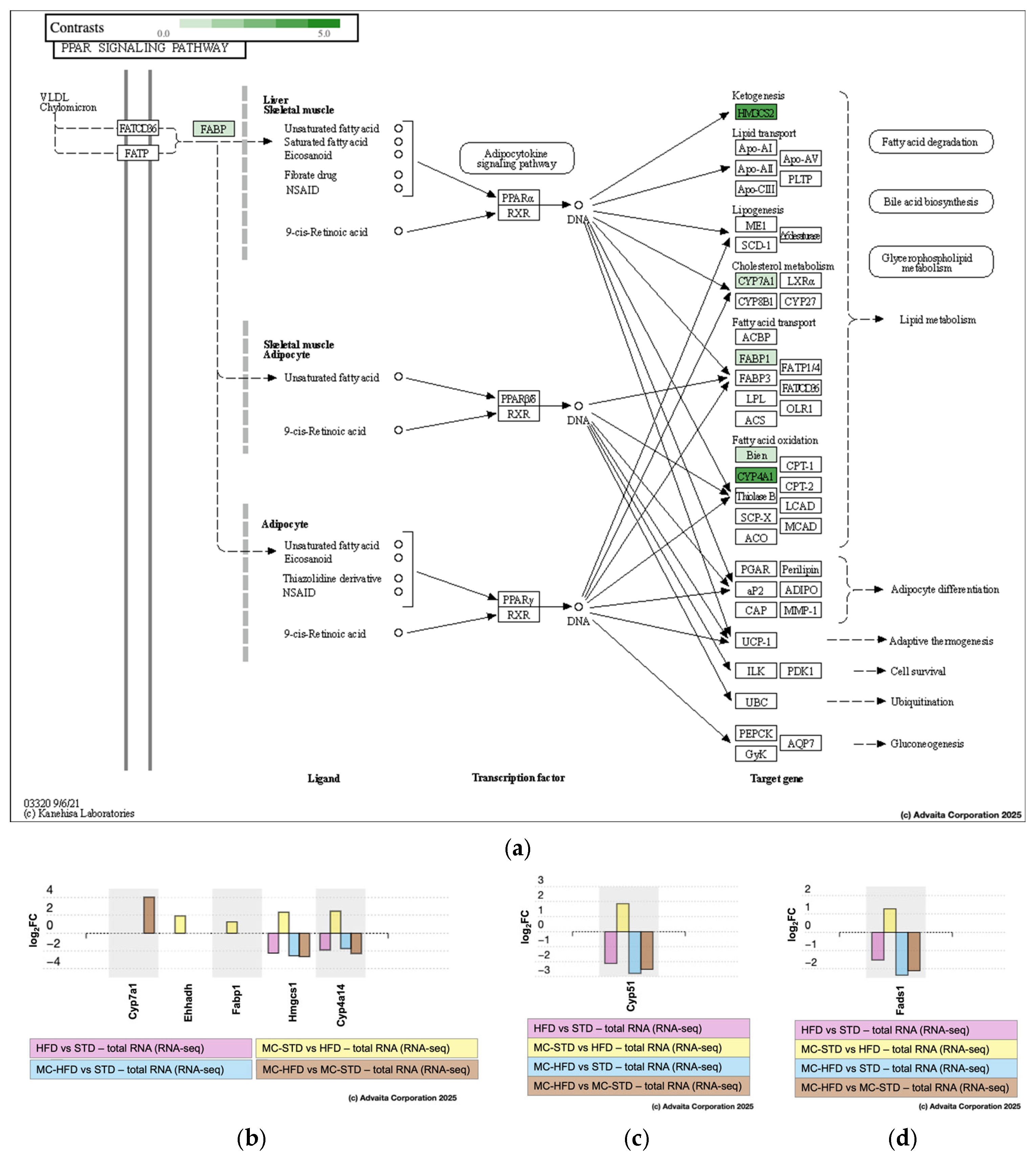 Nutrients 17 03780 g007
