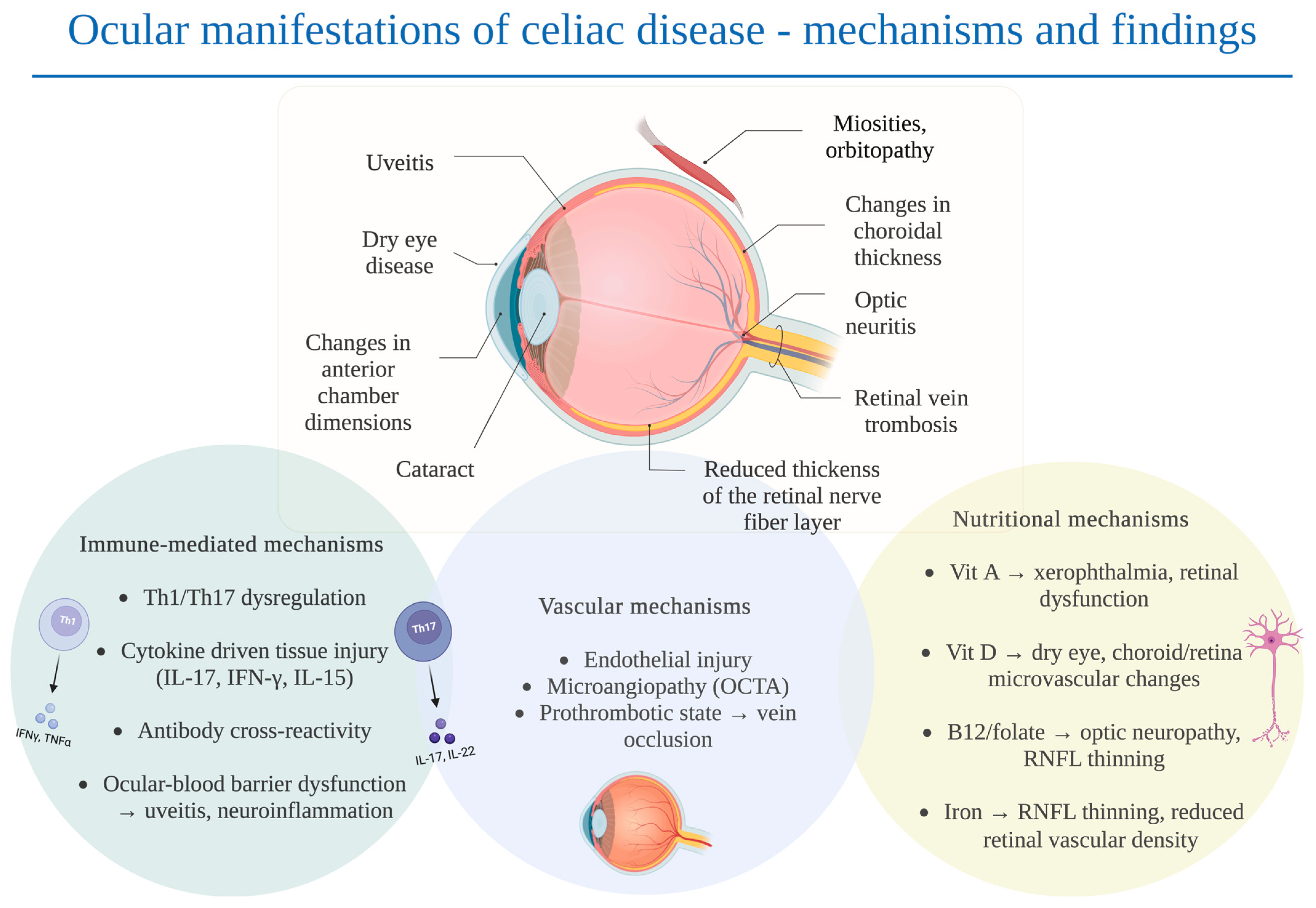 Nutrients 17 03781 g002