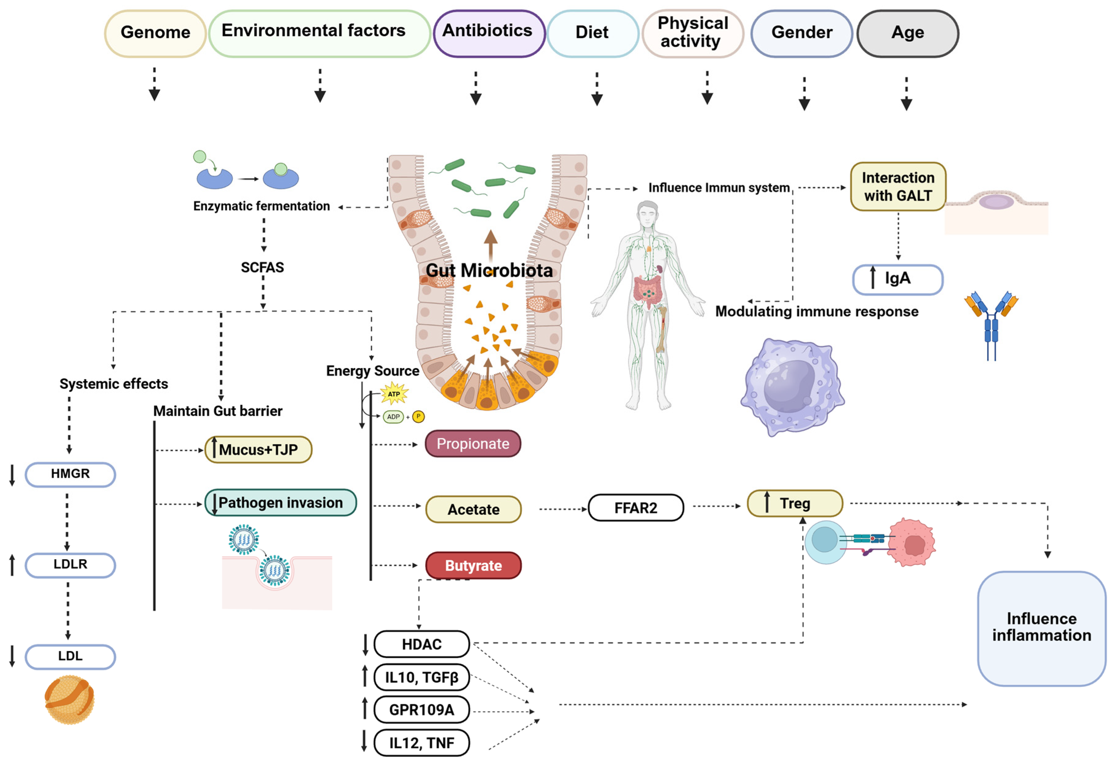 Nutrients 17 03784 g002