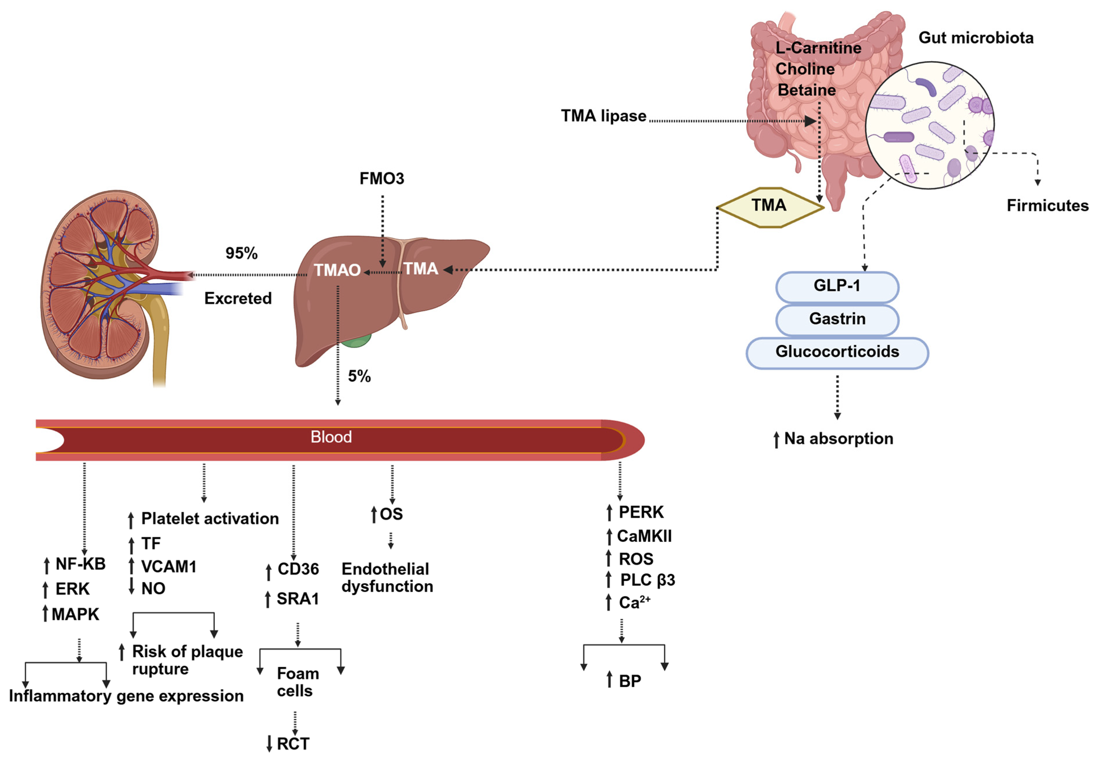 Nutrients 17 03784 g003