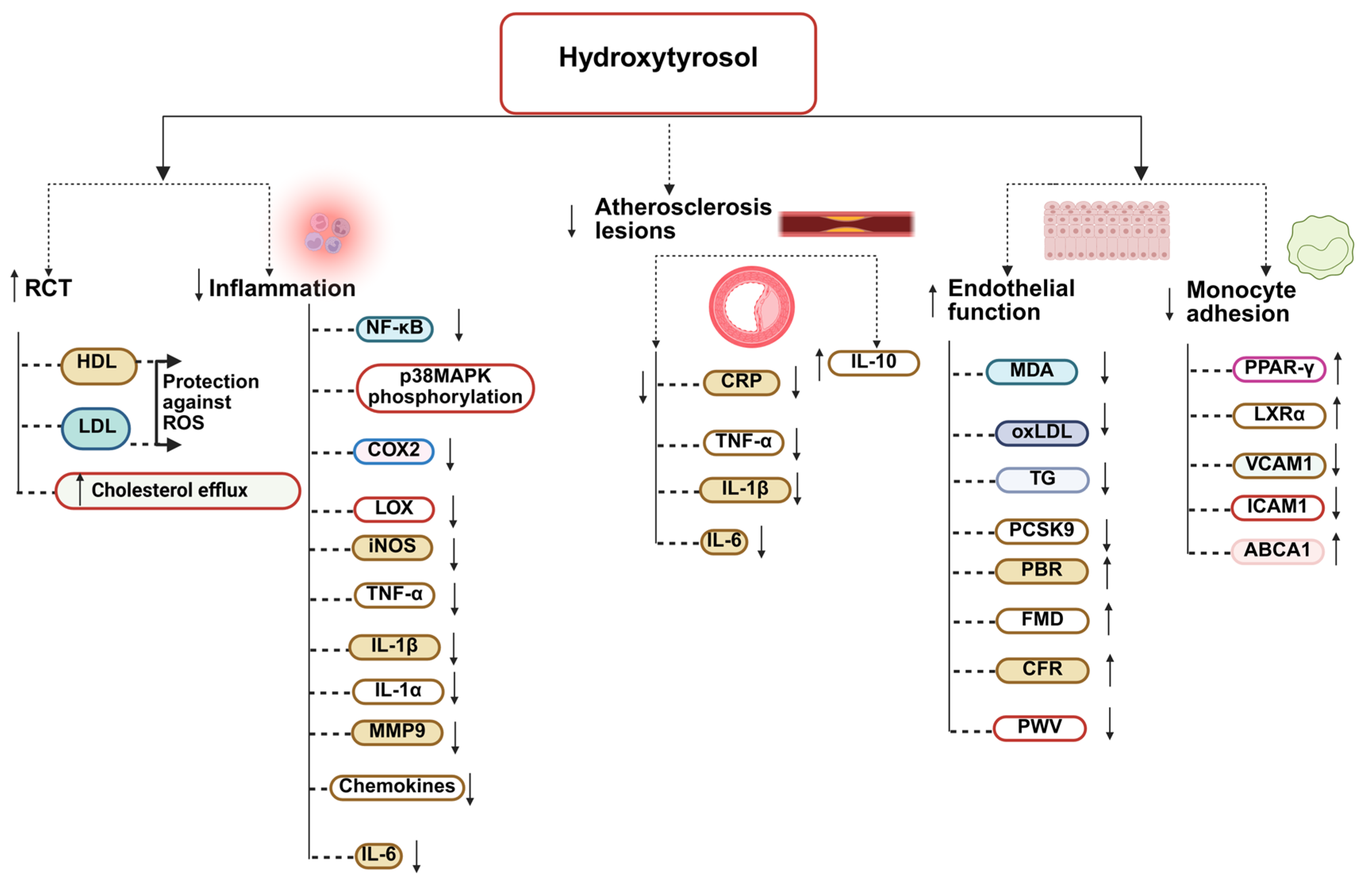 Nutrients 17 03784 g004