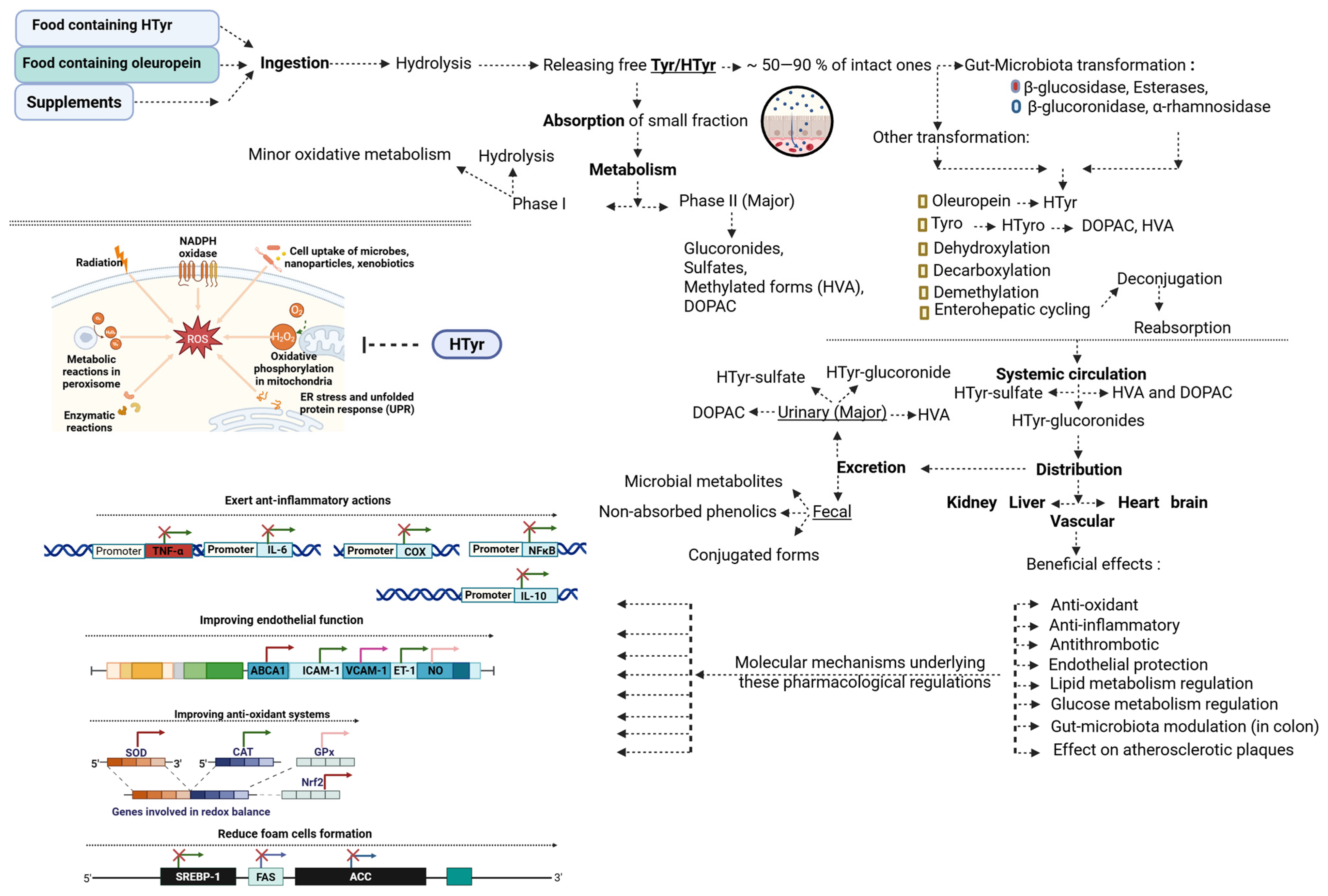 Nutrients 17 03784 g005