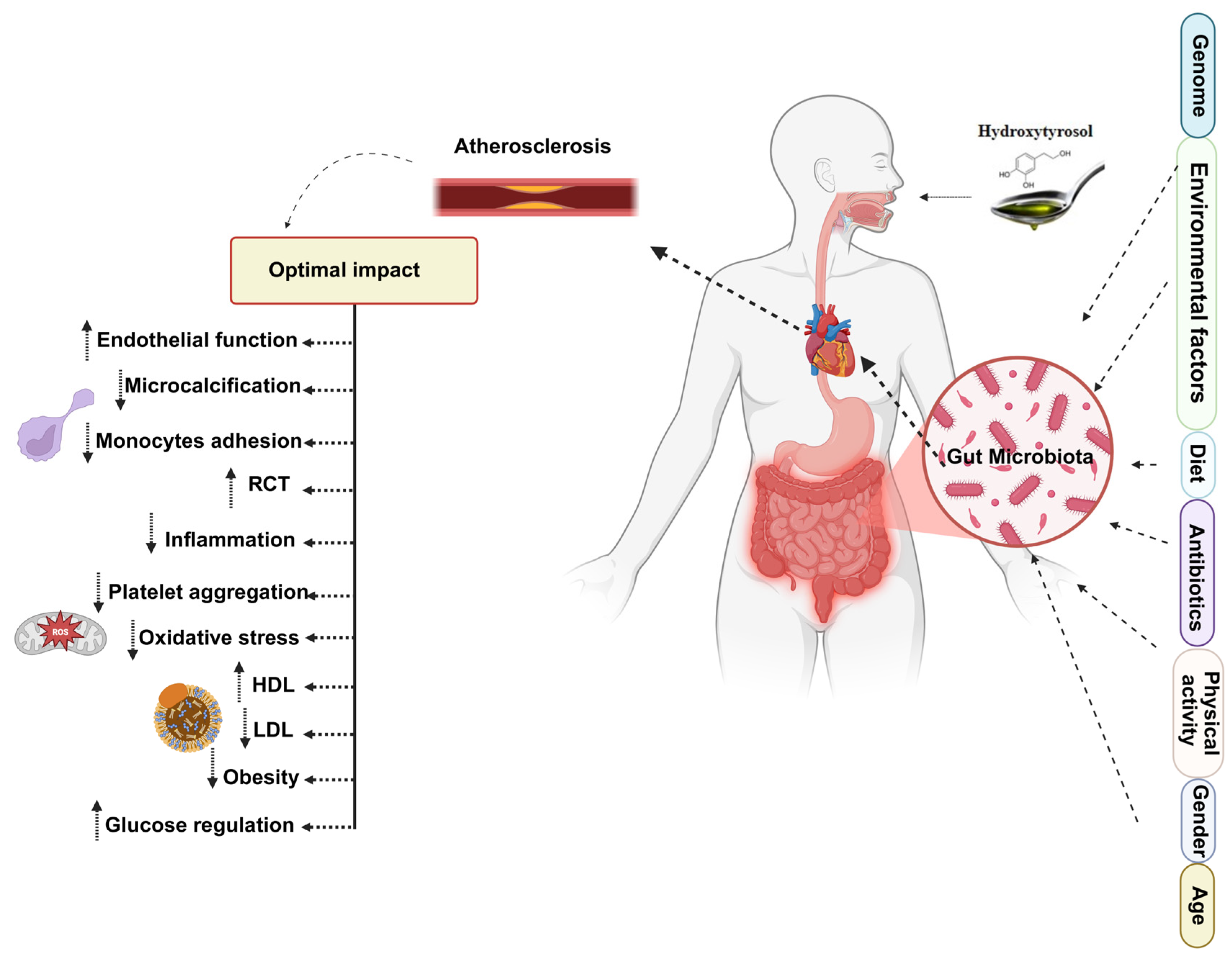 Nutrients 17 03784 g007