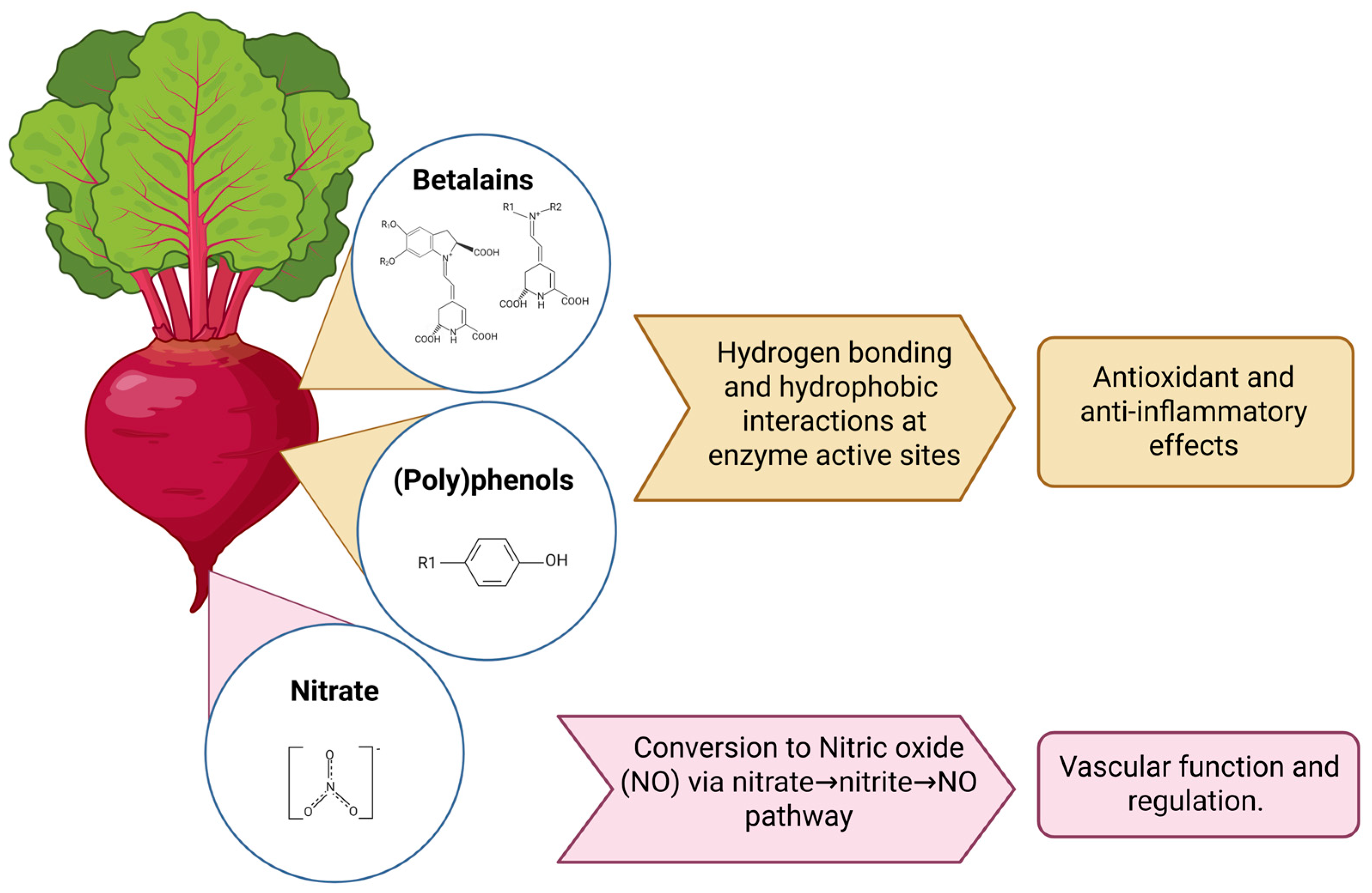 Nutrients 17 03790 g001