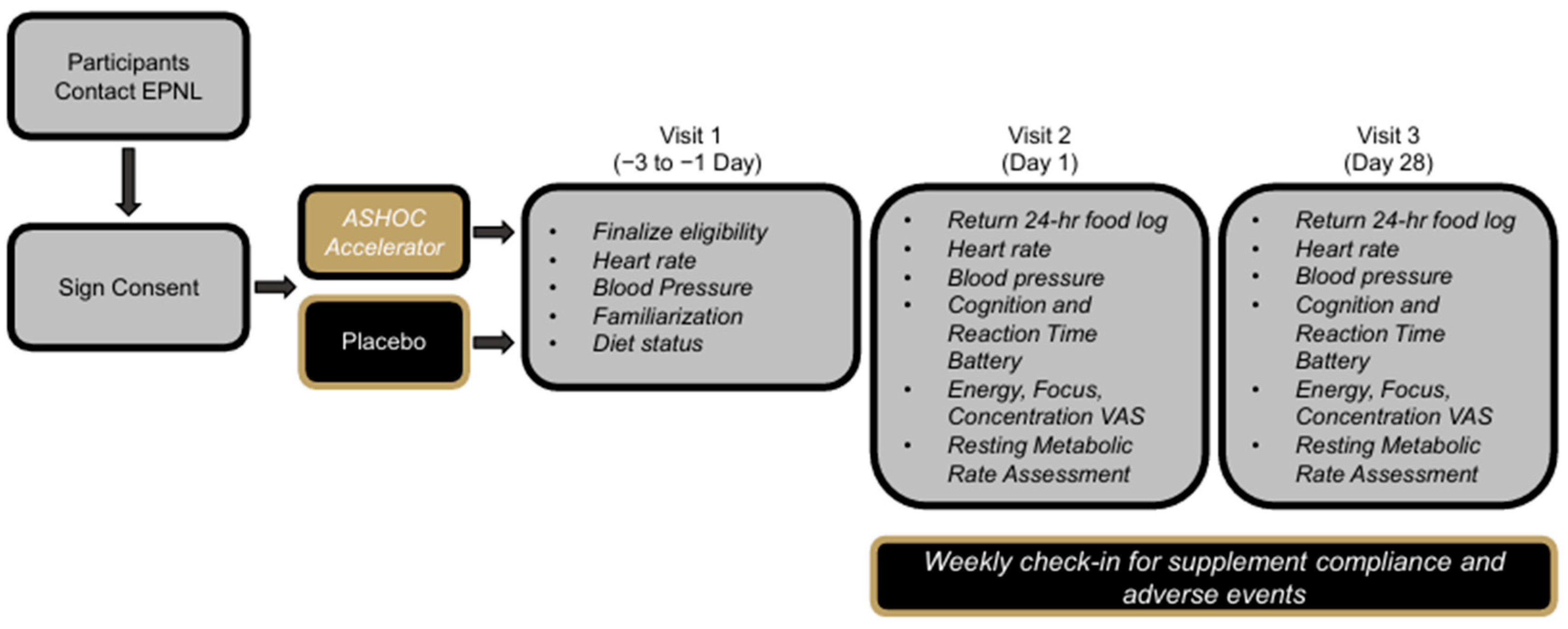 Nutrients 17 03793 g001