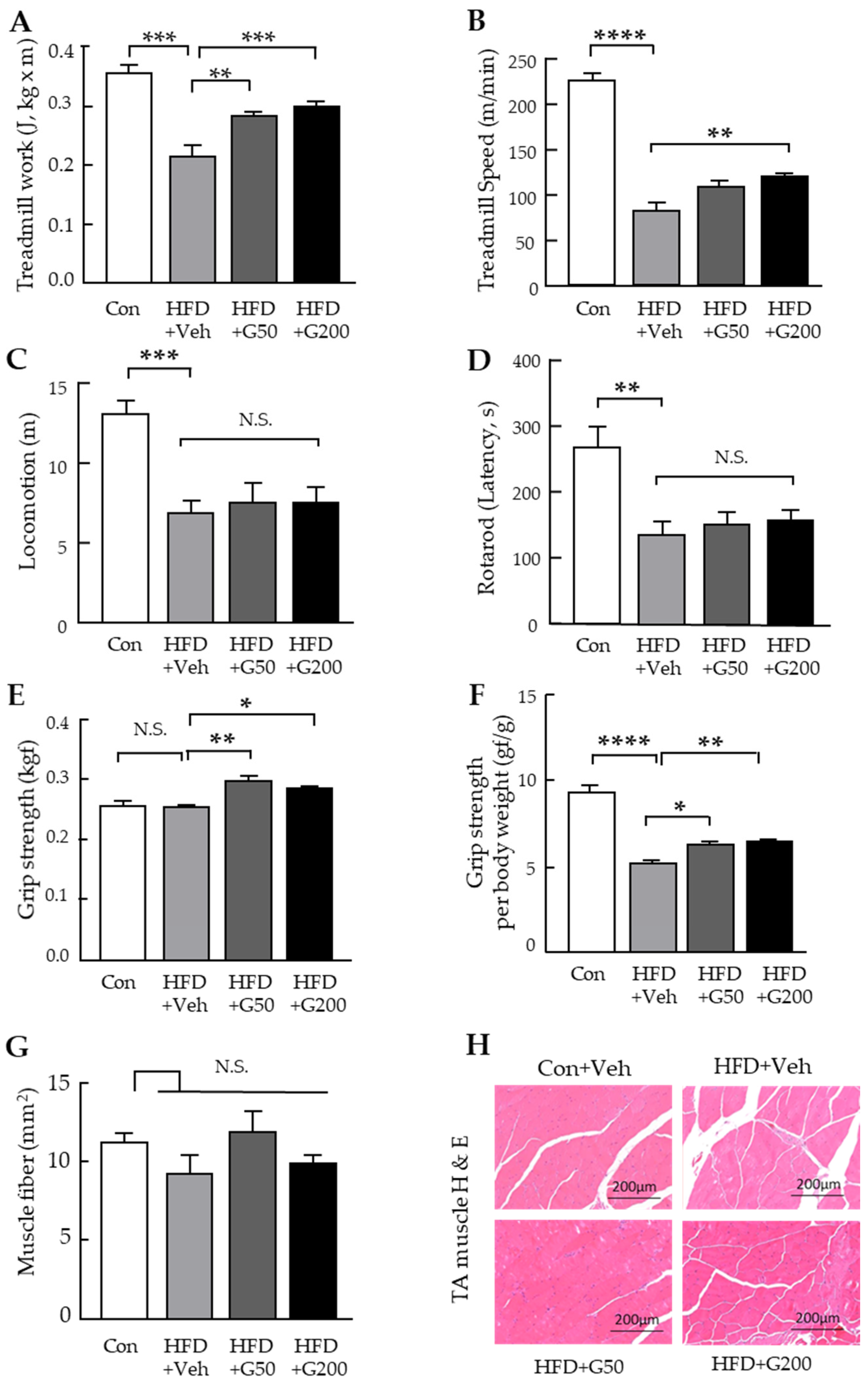 Nutrients 17 03794 g002 Nutrients 17 03794 g002