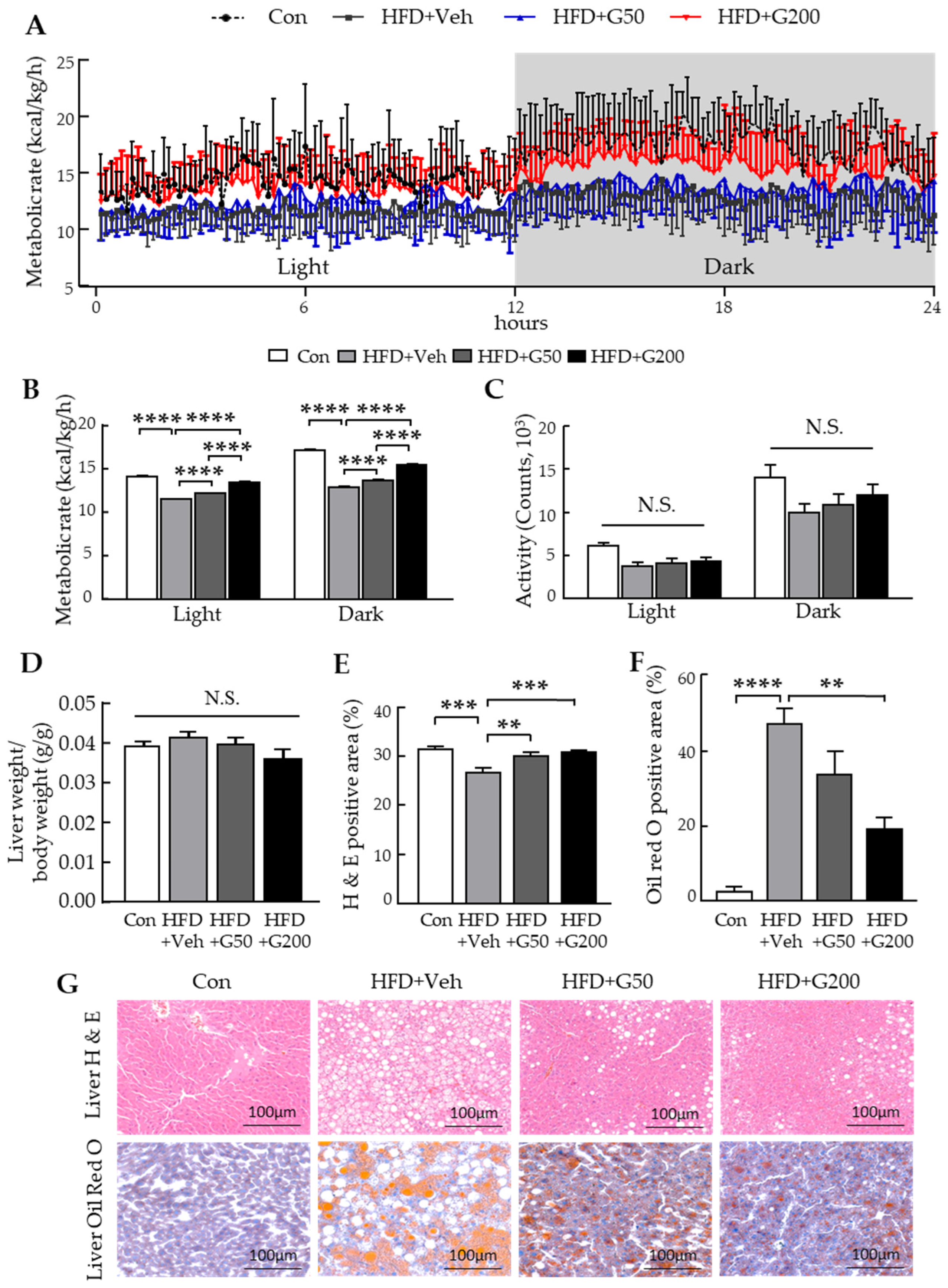 Nutrients 17 03794 g003 Nutrients 17 03794 g003