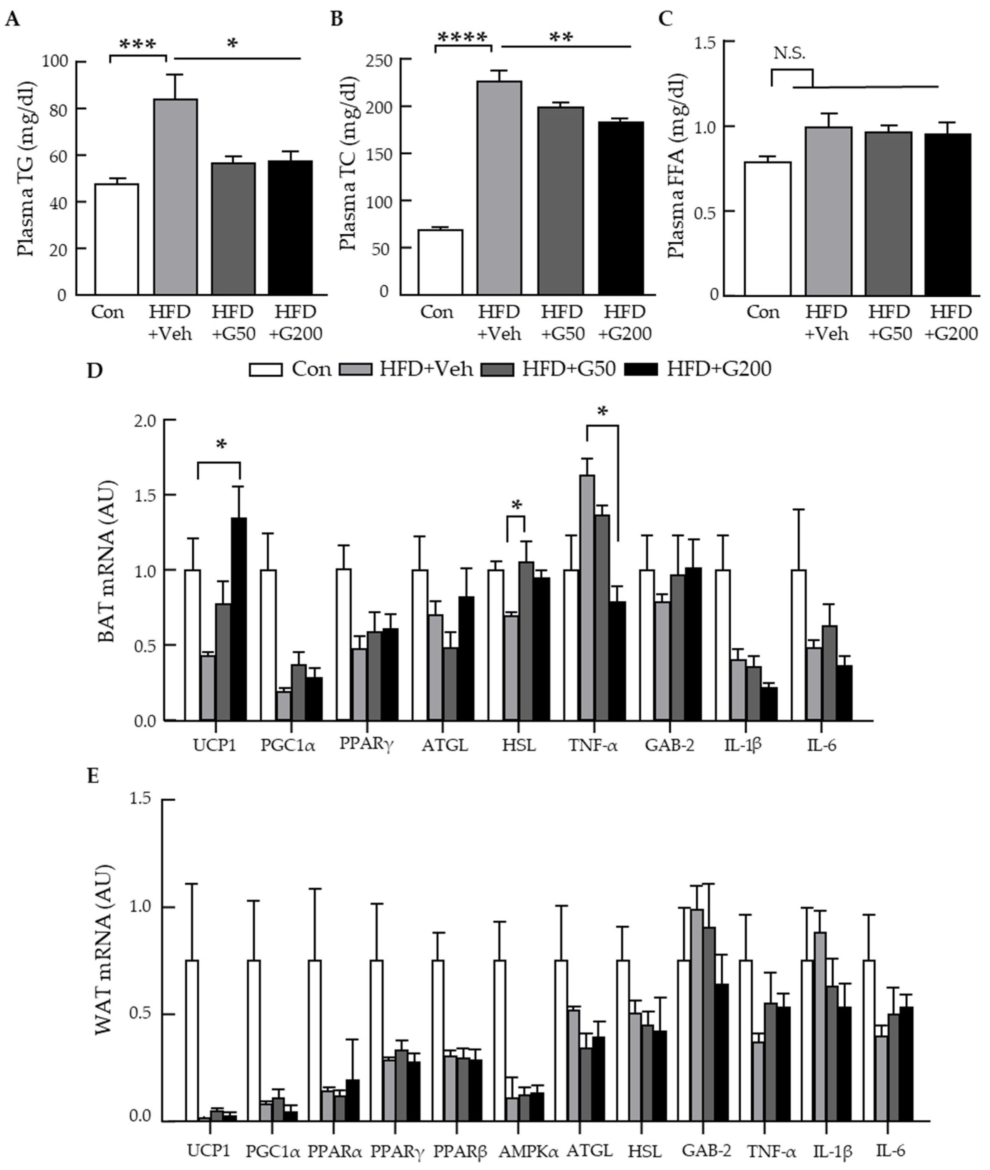 Nutrients 17 03794 g004 Nutrients 17 03794 g004