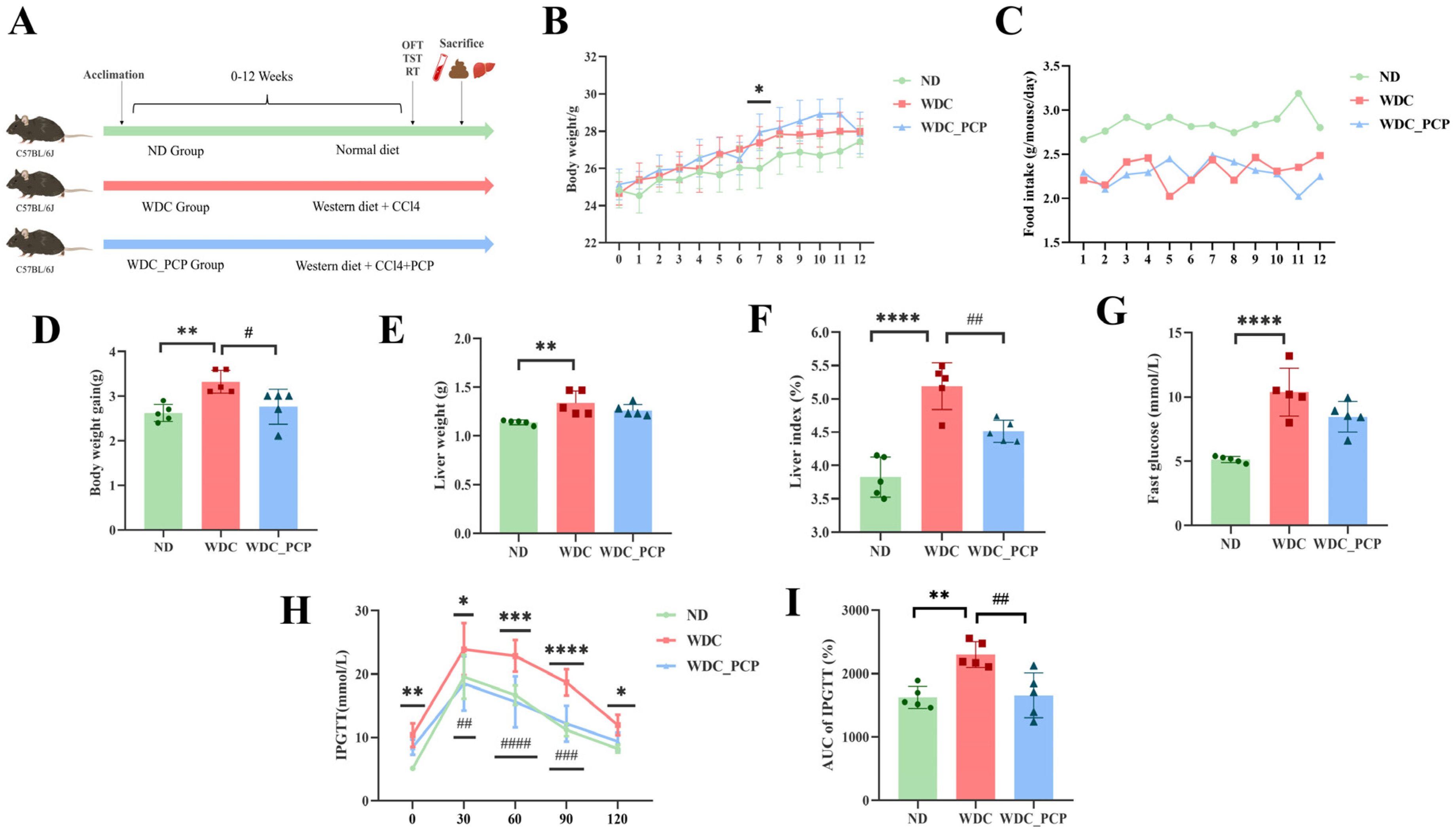 Nutrients 17 03797 g001
