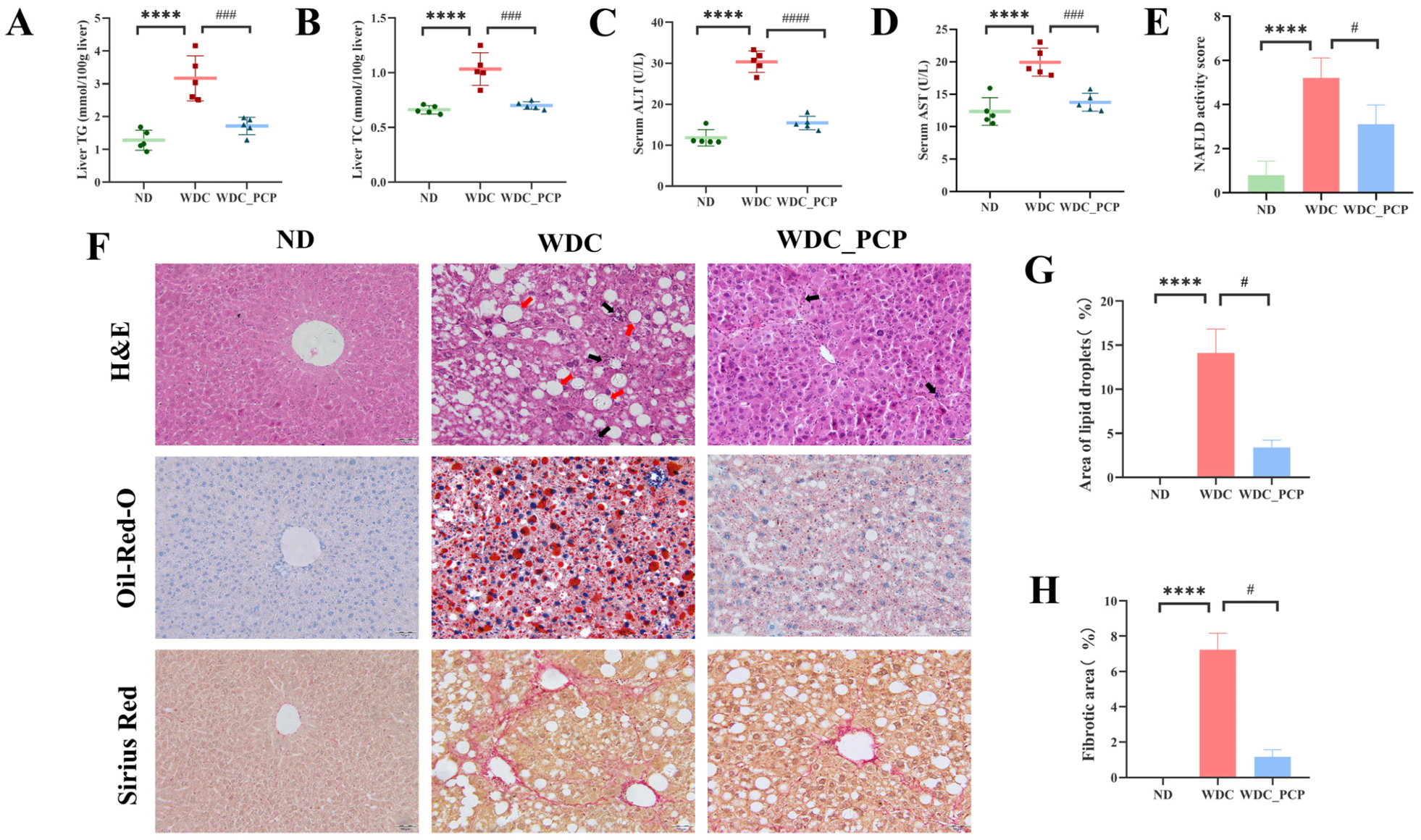 Nutrients 17 03797 g002