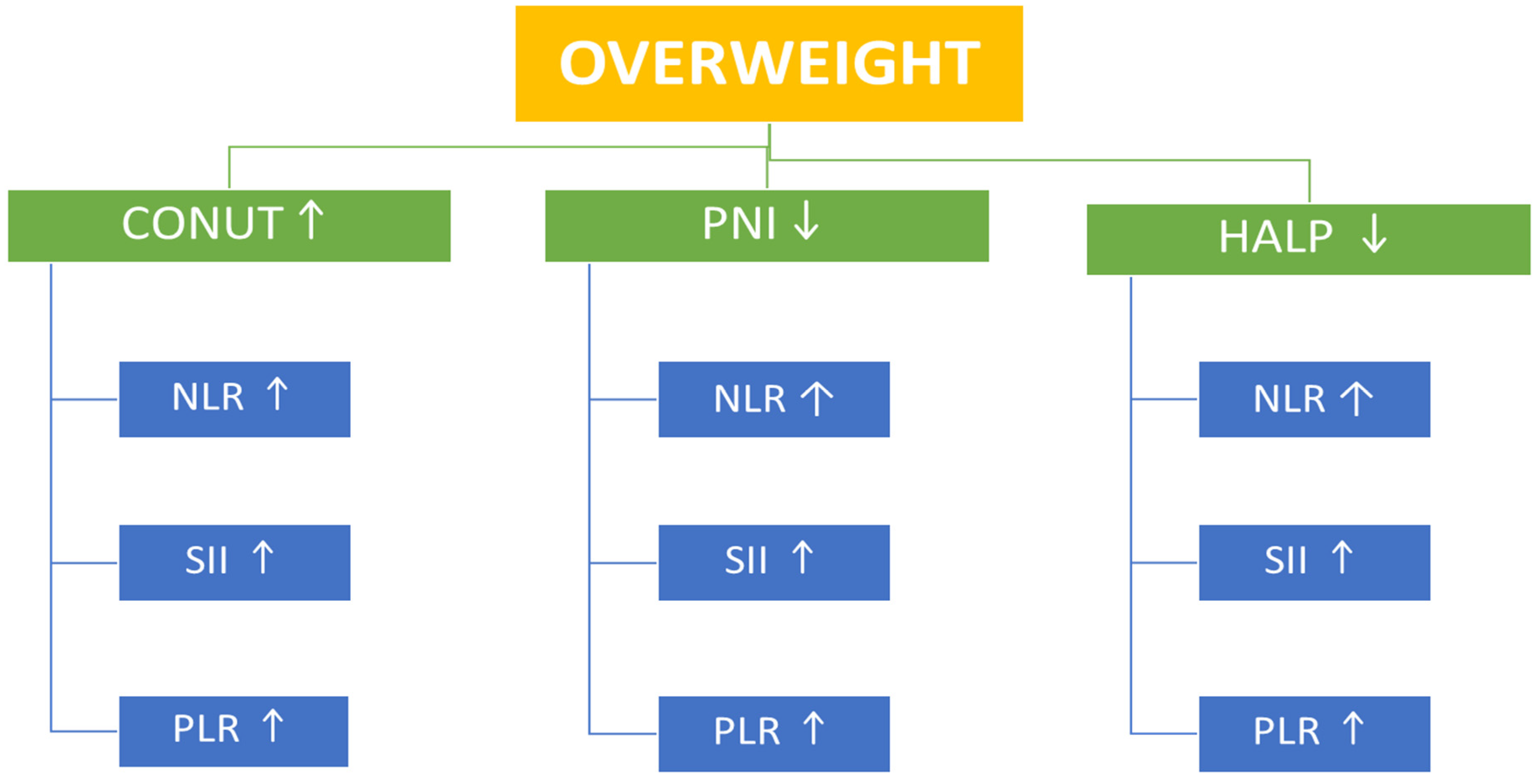 Nutrients 17 03799 g002