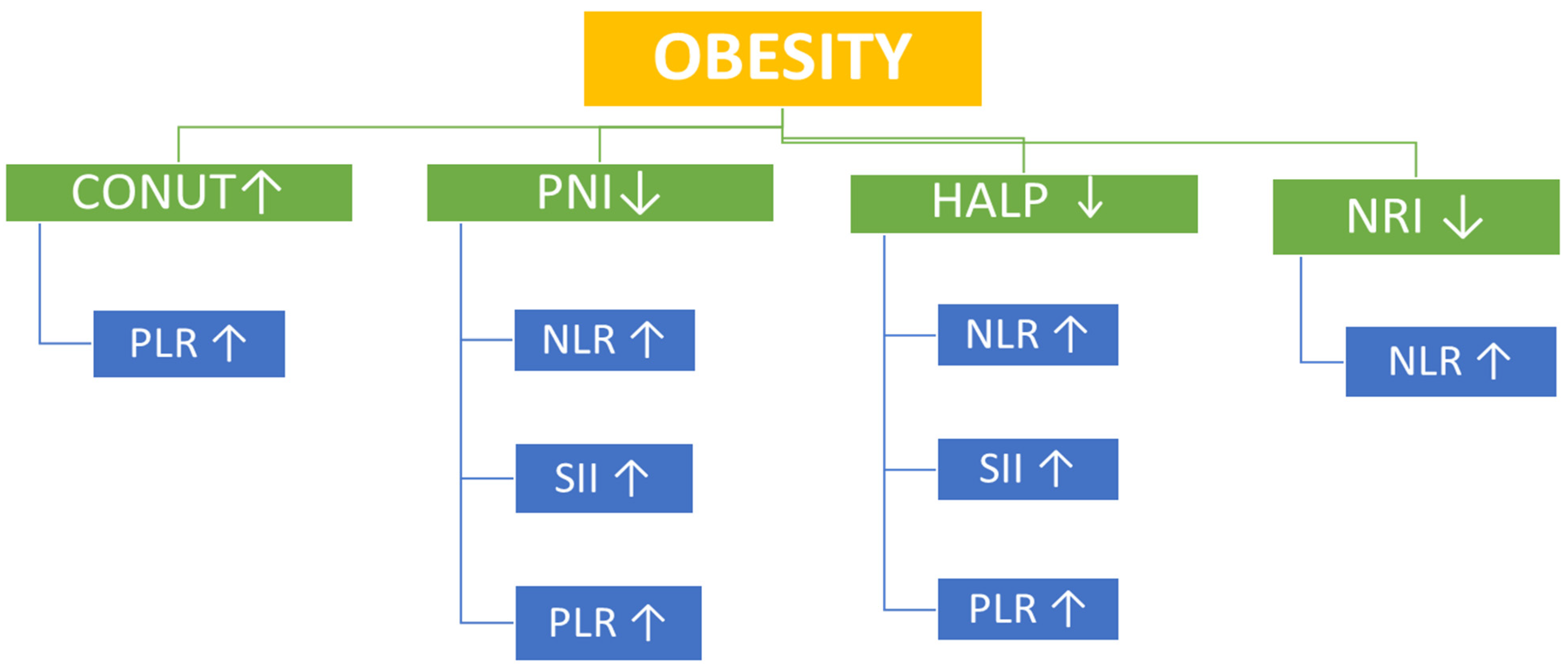 Nutrients 17 03799 g003