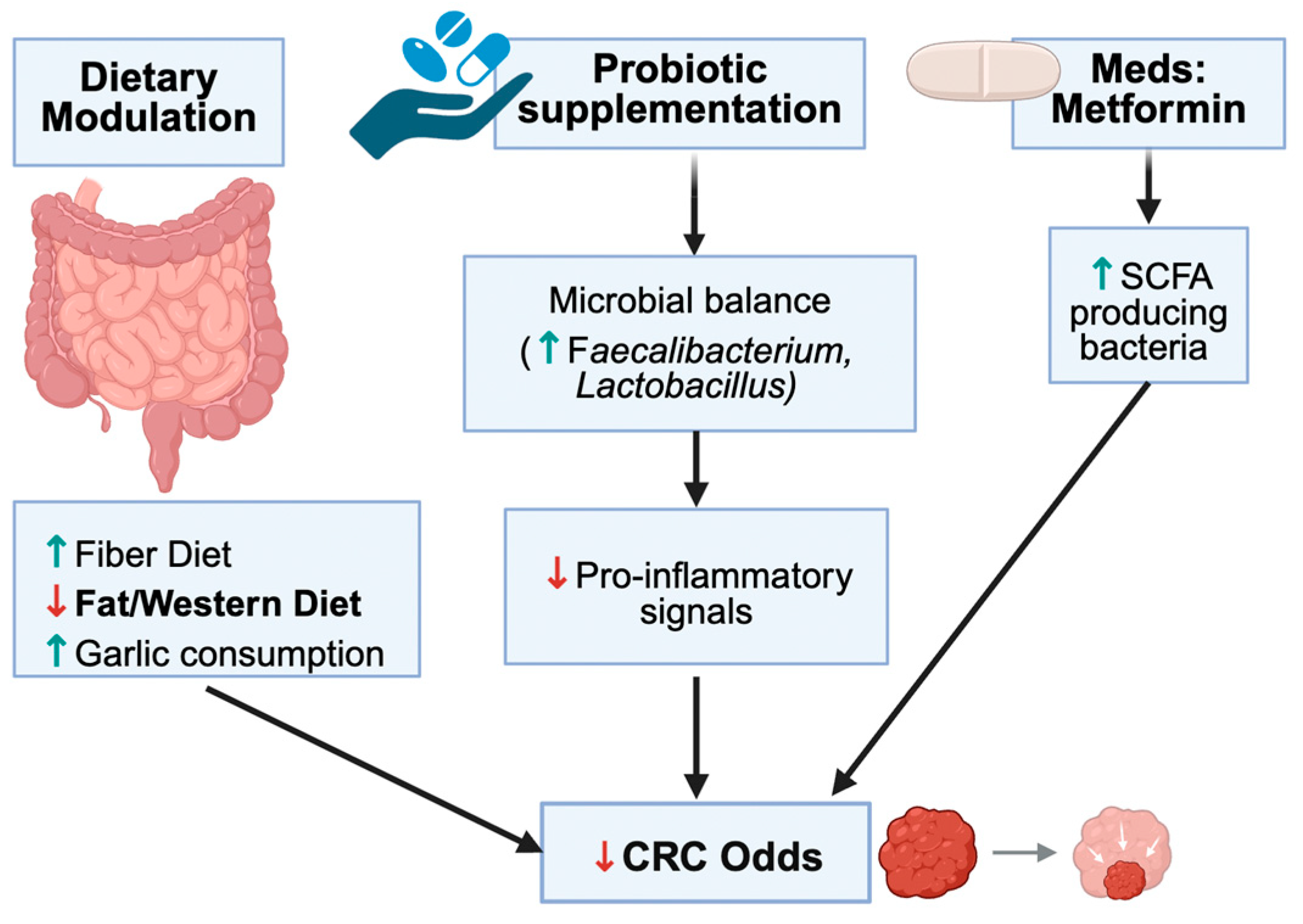 Nutrients 17 03803 g004 Nutrients 17 03803 g004