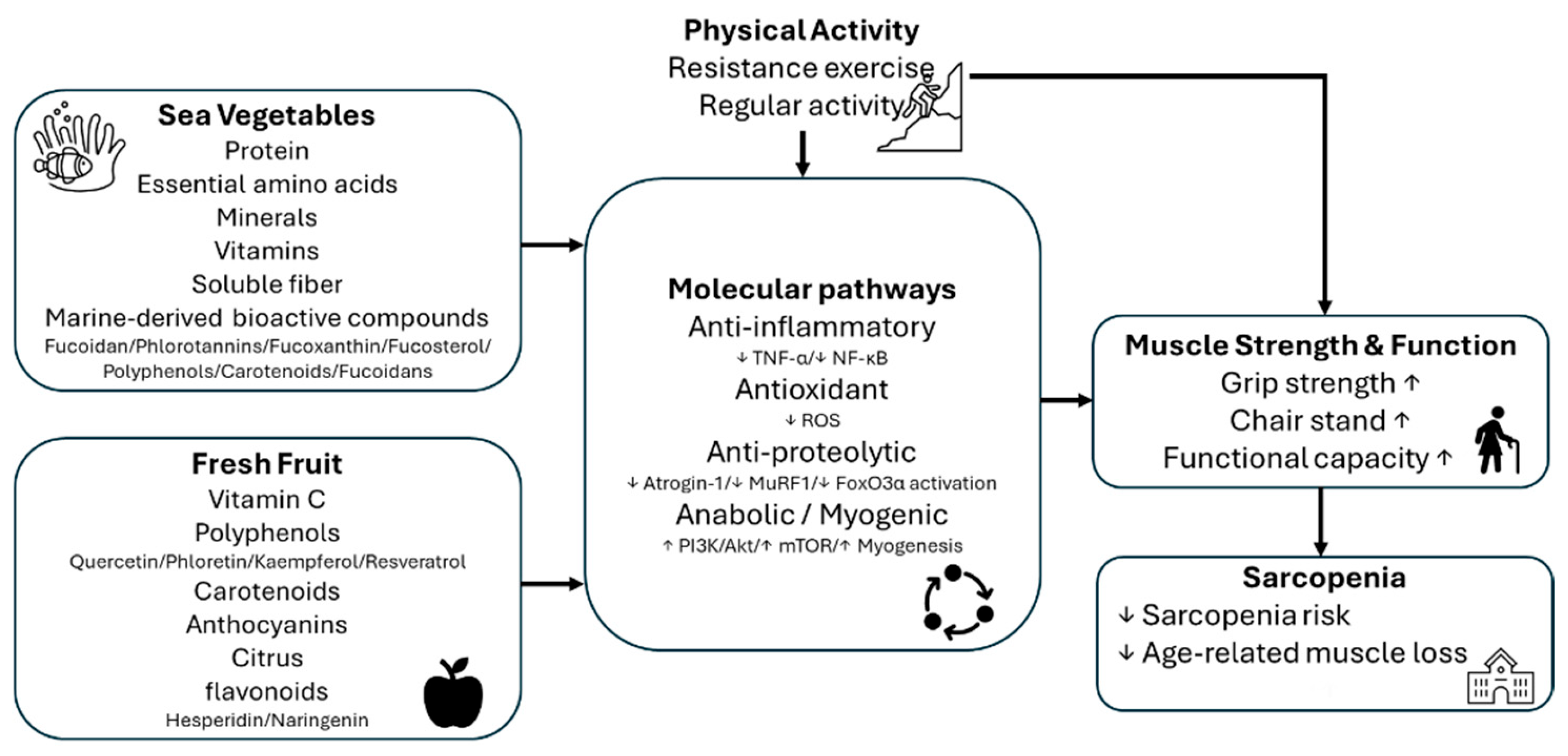 Nutrients 17 03805 g001 Nutrients 17 03805 g001