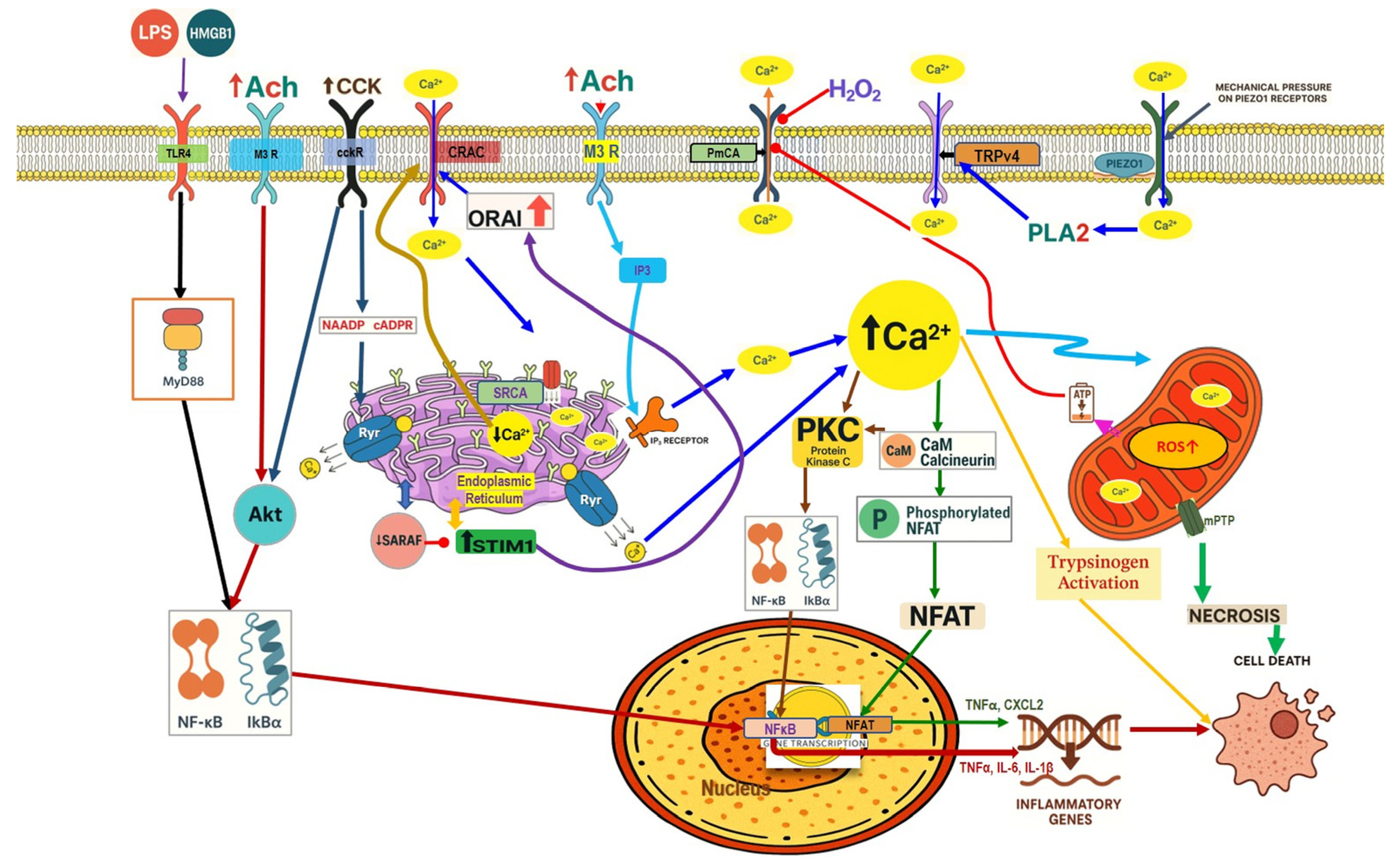 Nutrients 17 03841 g001 Nutrients 17 03841 g001