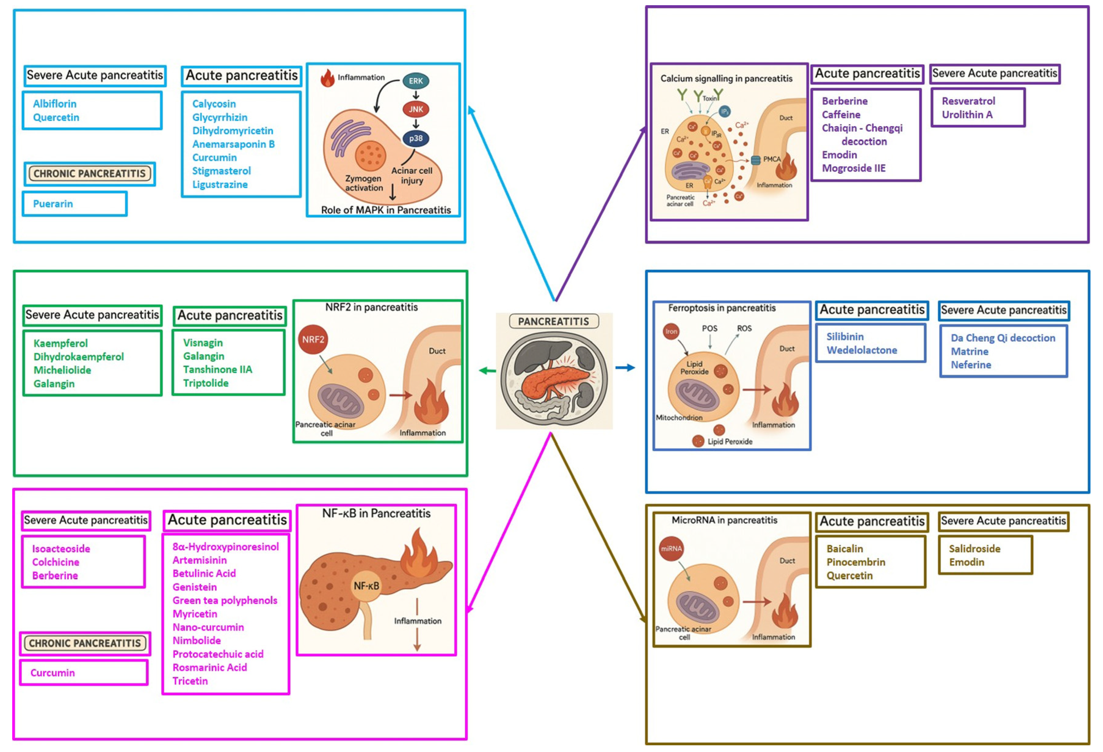 Nutrients 17 03841 g005 Nutrients 17 03841 g005