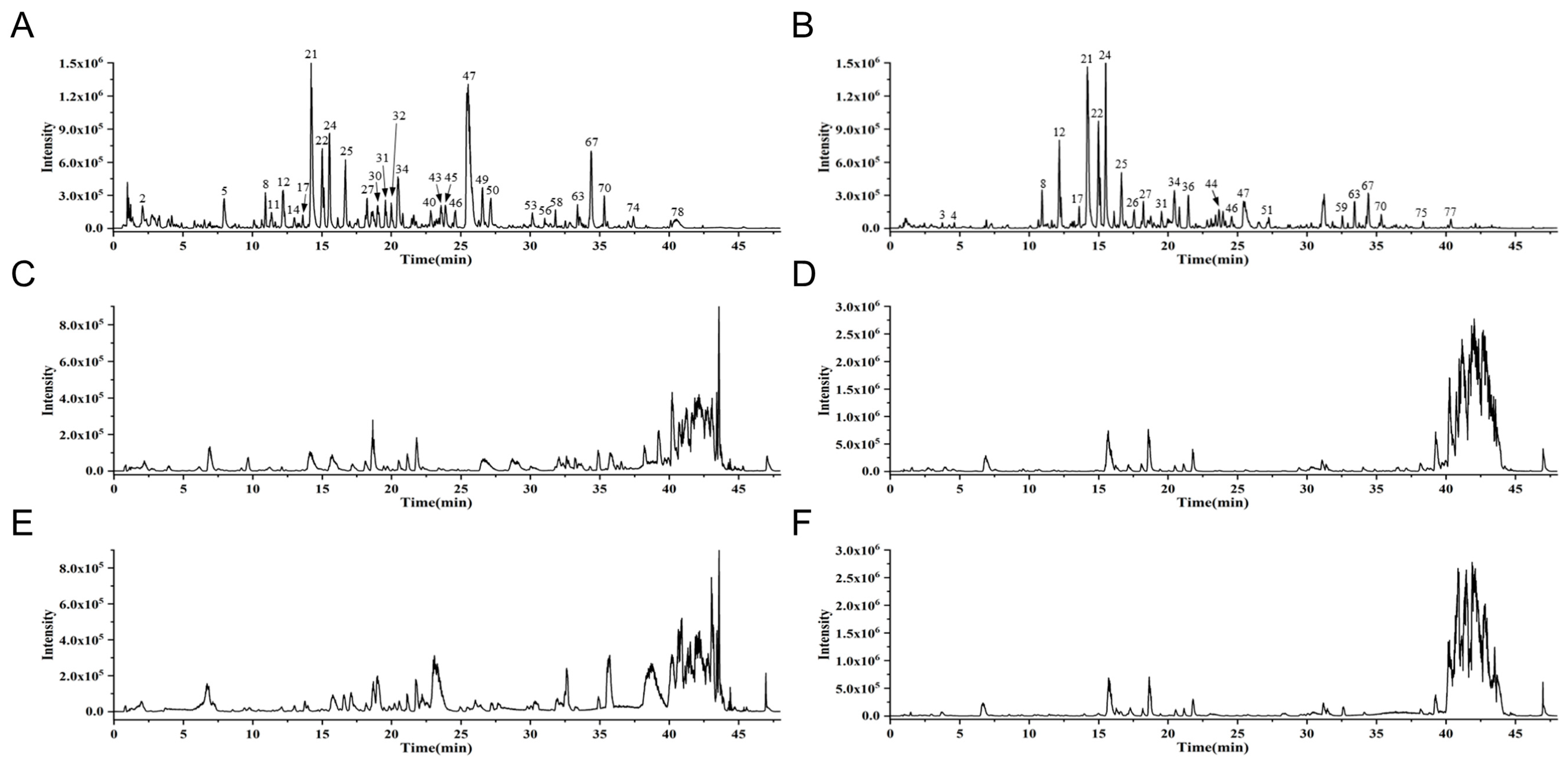 Nutrients 17 03849 g001 Nutrients 17 03849 g001