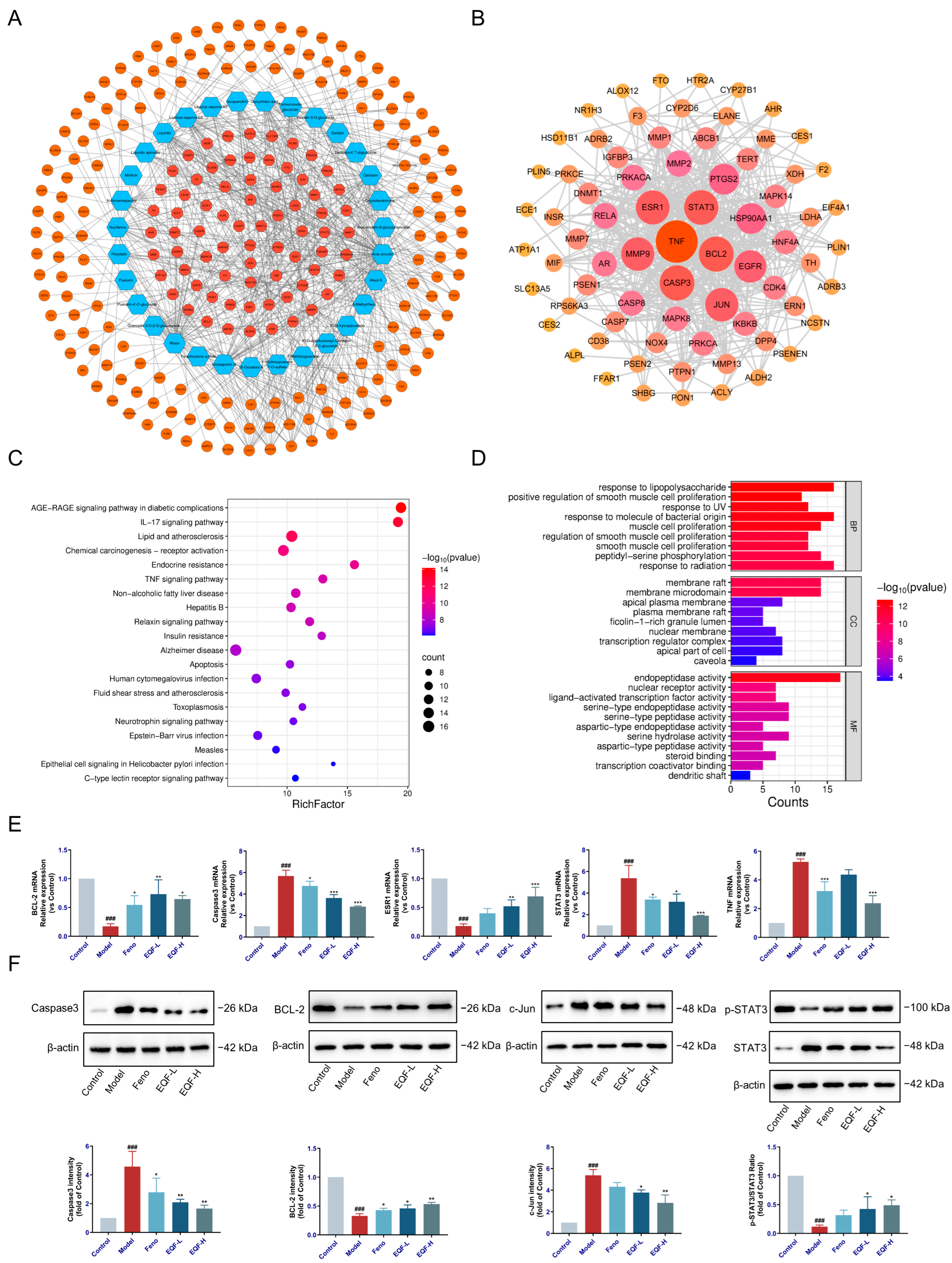Nutrients 17 03849 g002 Nutrients 17 03849 g002