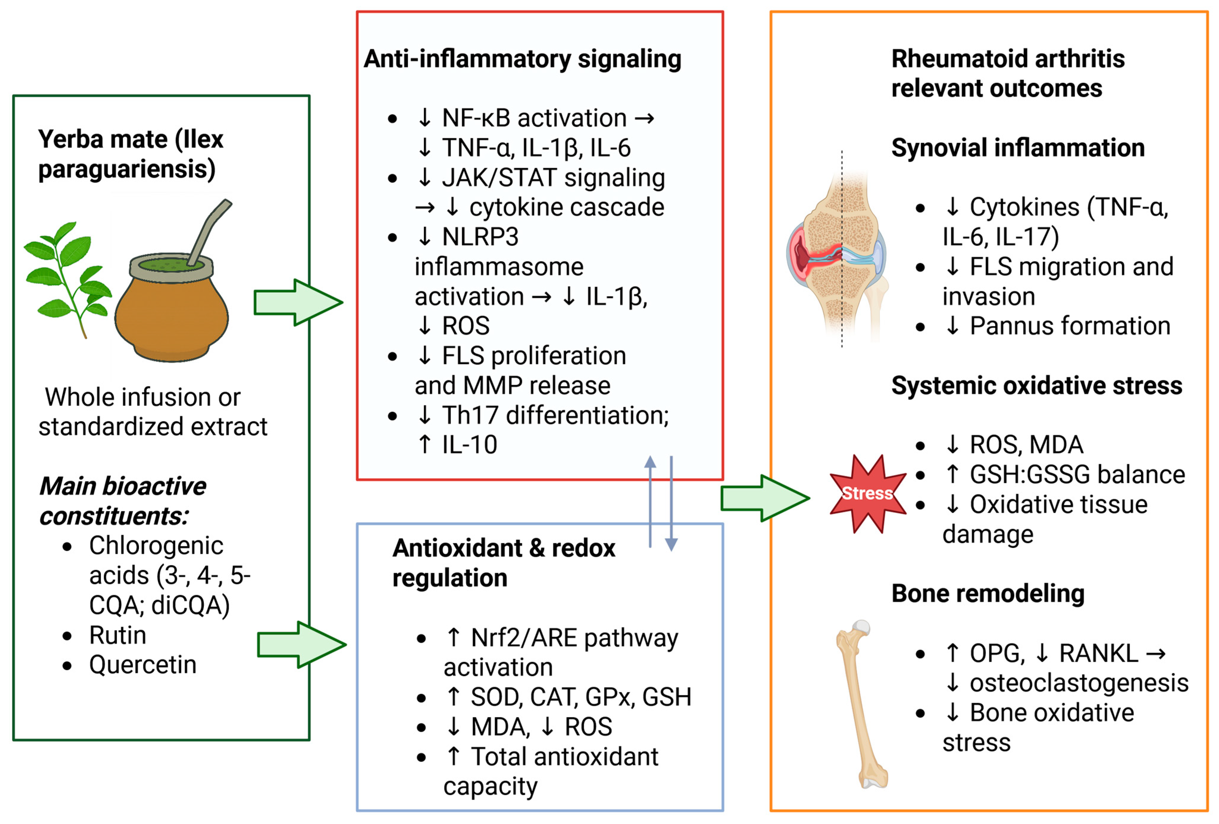 Nutrients 17 03853 g001 Nutrients 17 03853 g001