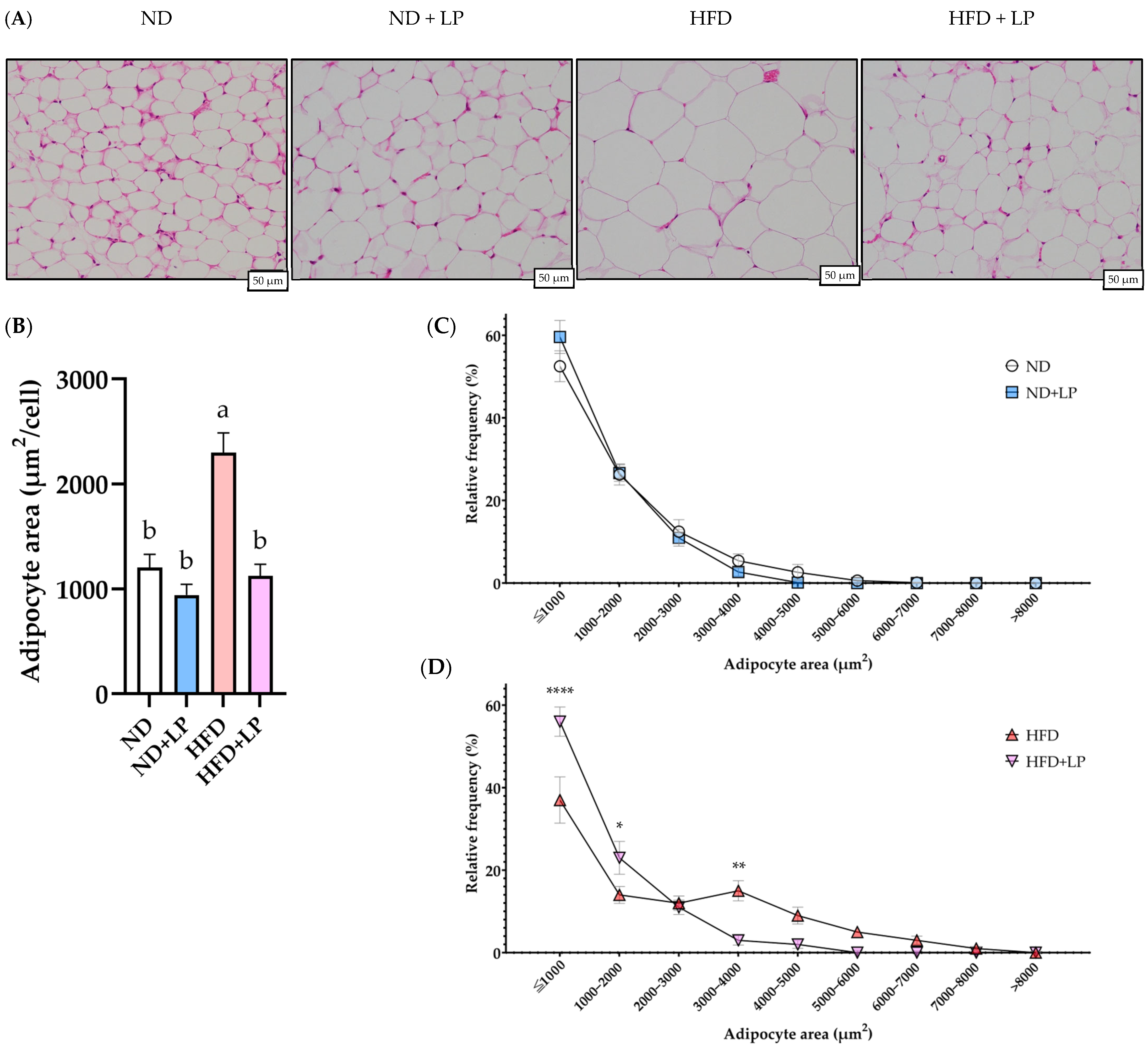 Nutrients 17 03855 g001 Nutrients 17 03855 g001