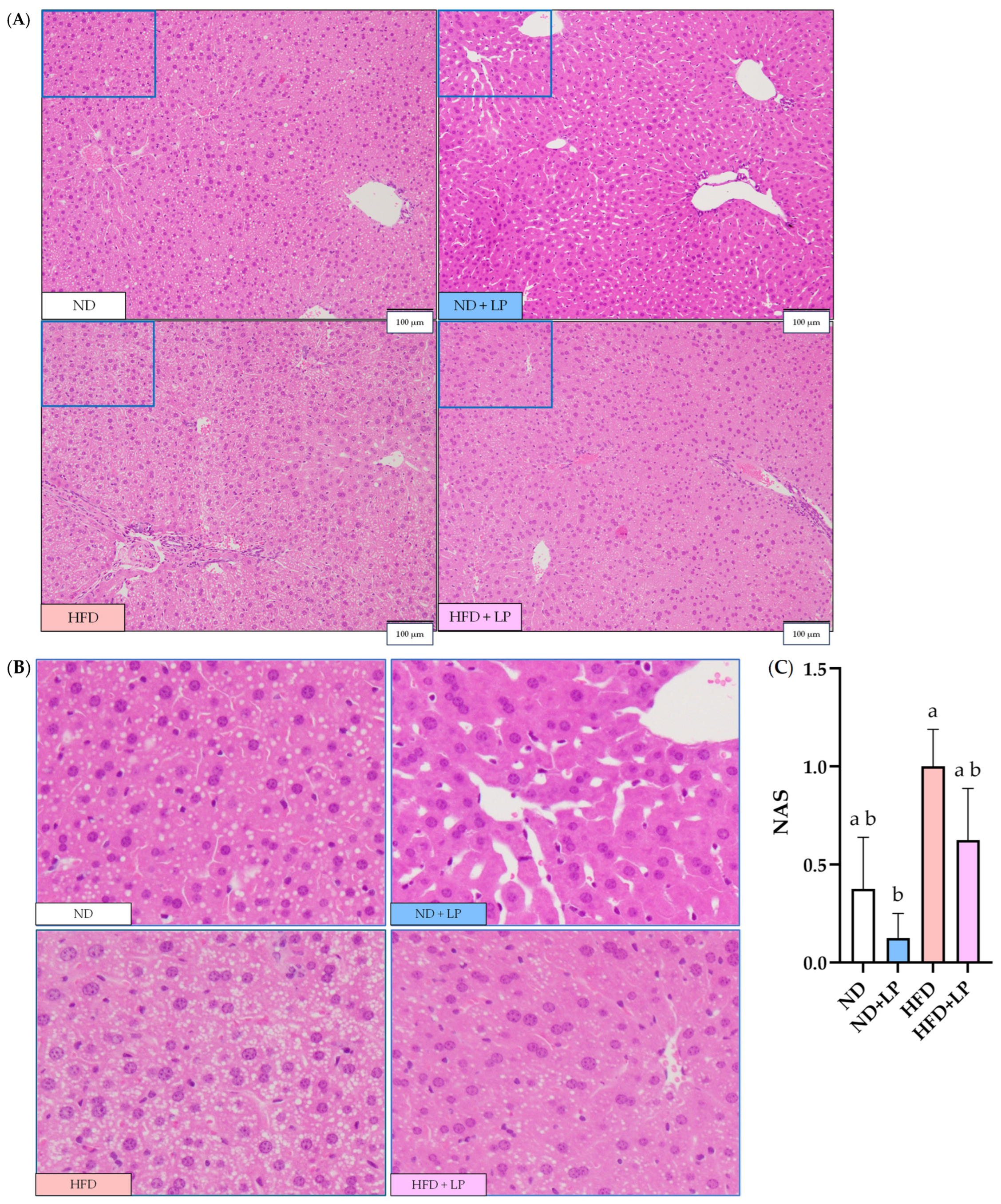Nutrients 17 03855 g002 Nutrients 17 03855 g002