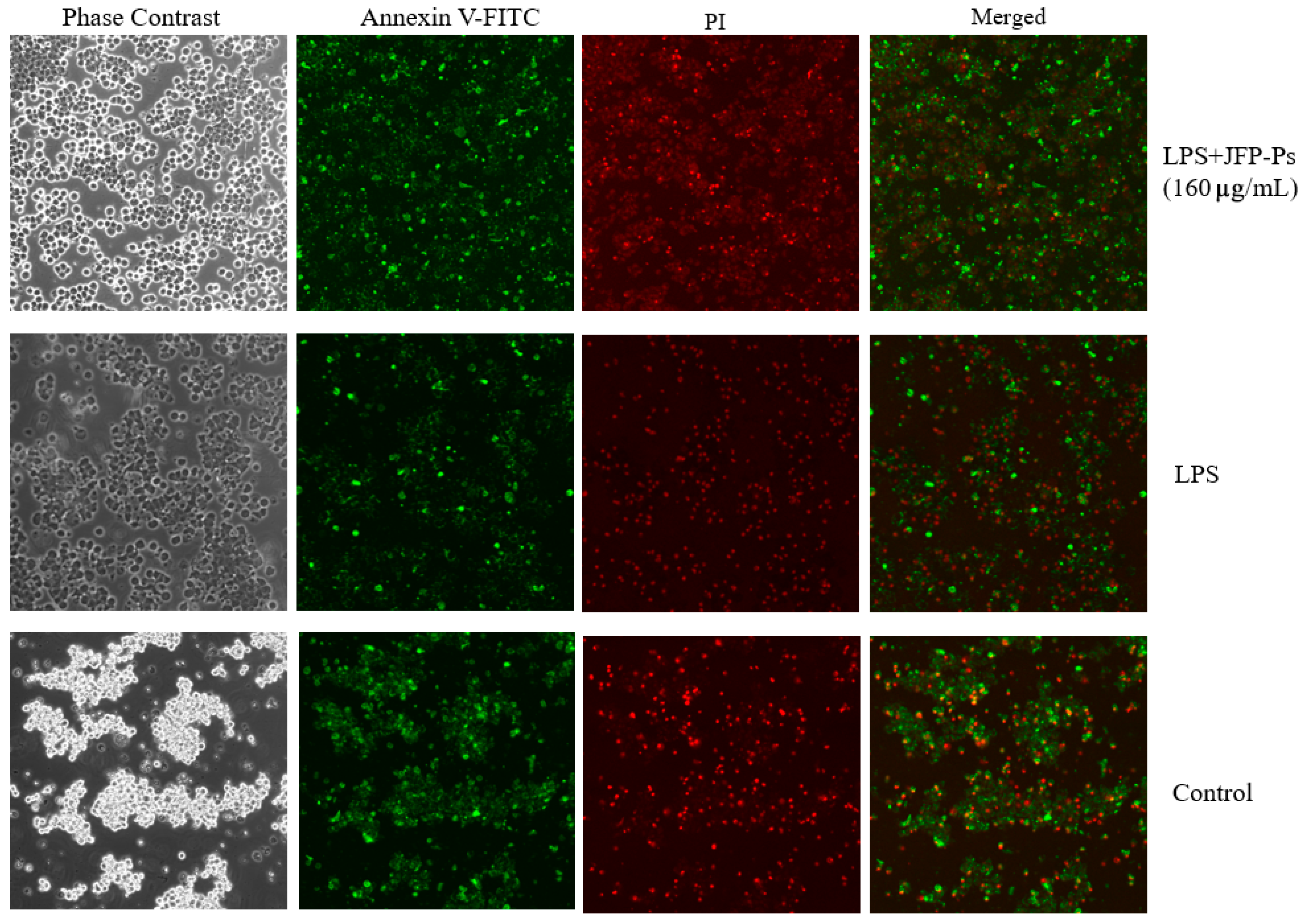 Nutrients 17 03879 g002
