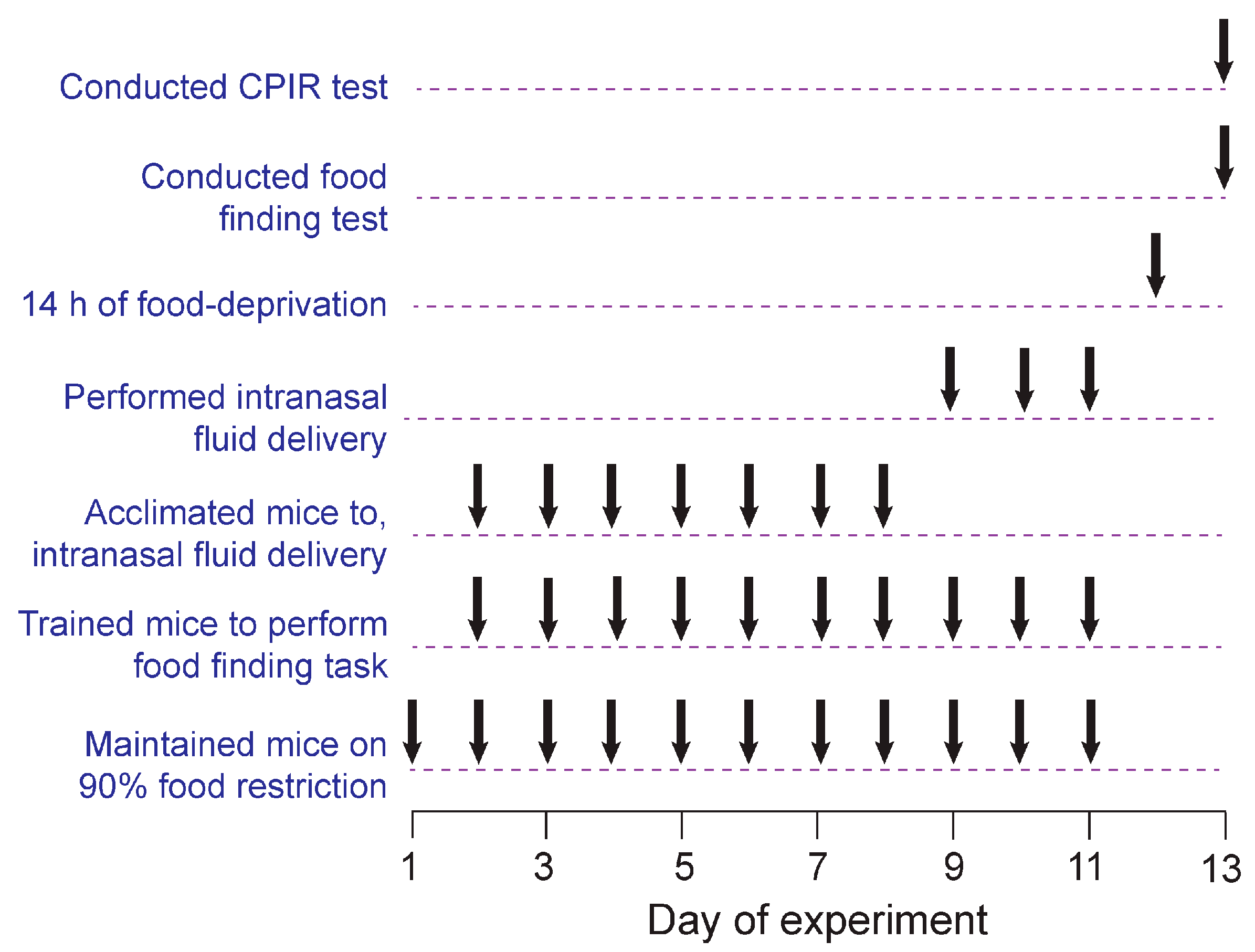 Nutrients 17 03880 g001 Nutrients 17 03880 g001