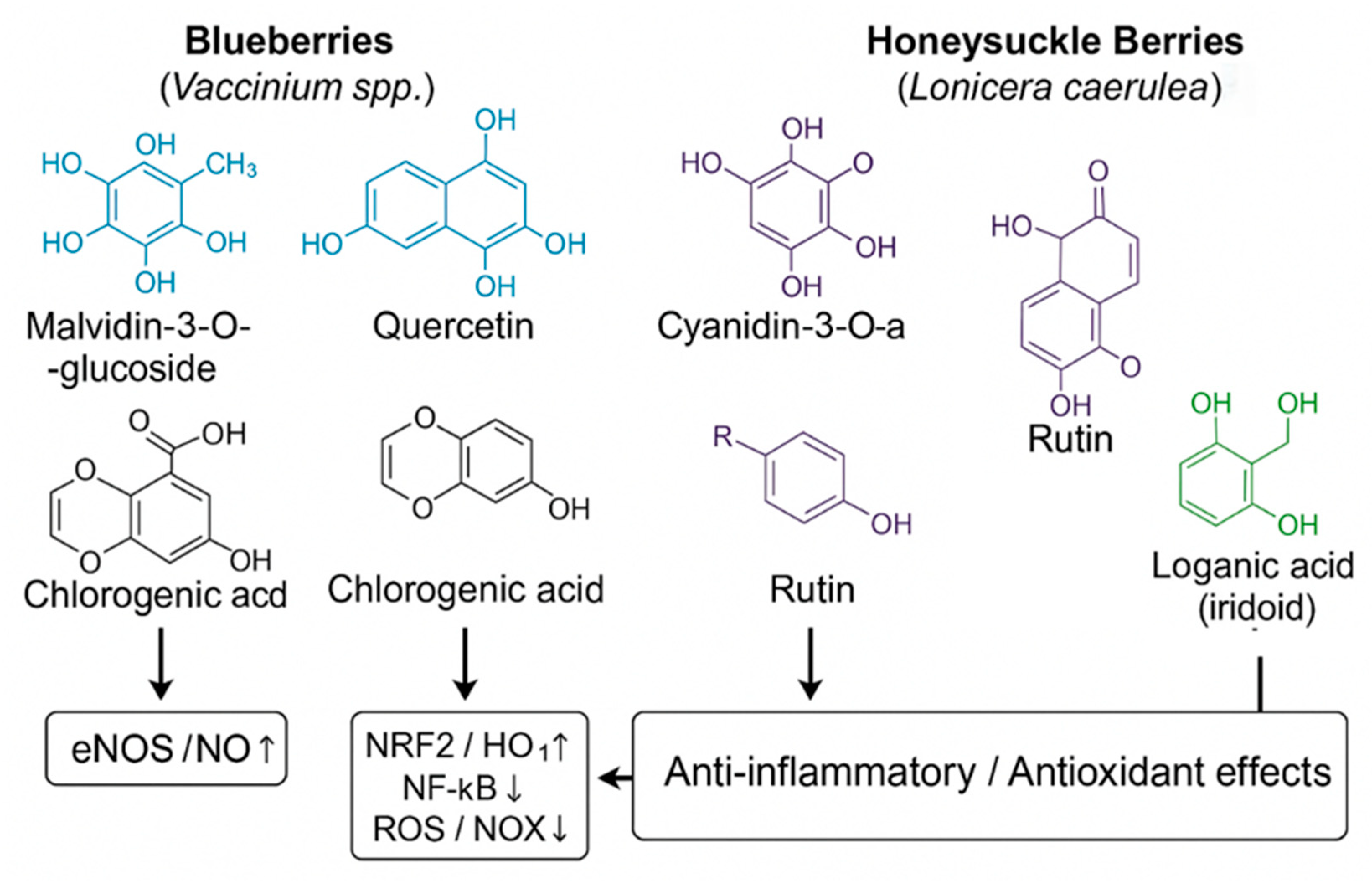 Nutrients 17 03888 g001 Nutrients 17 03888 g001