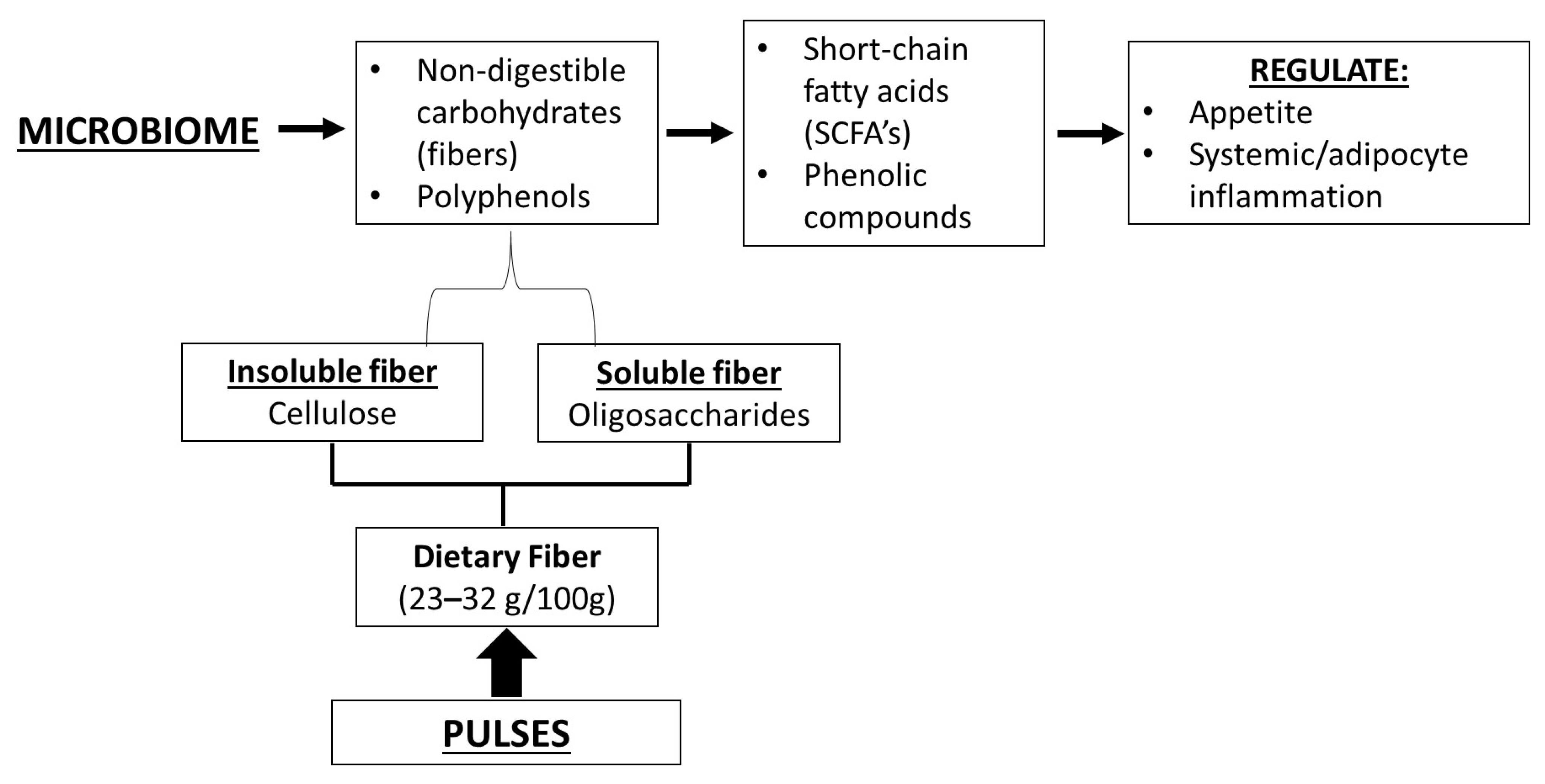 Nutrients 17 03898 g001 Nutrients 17 03898 g001