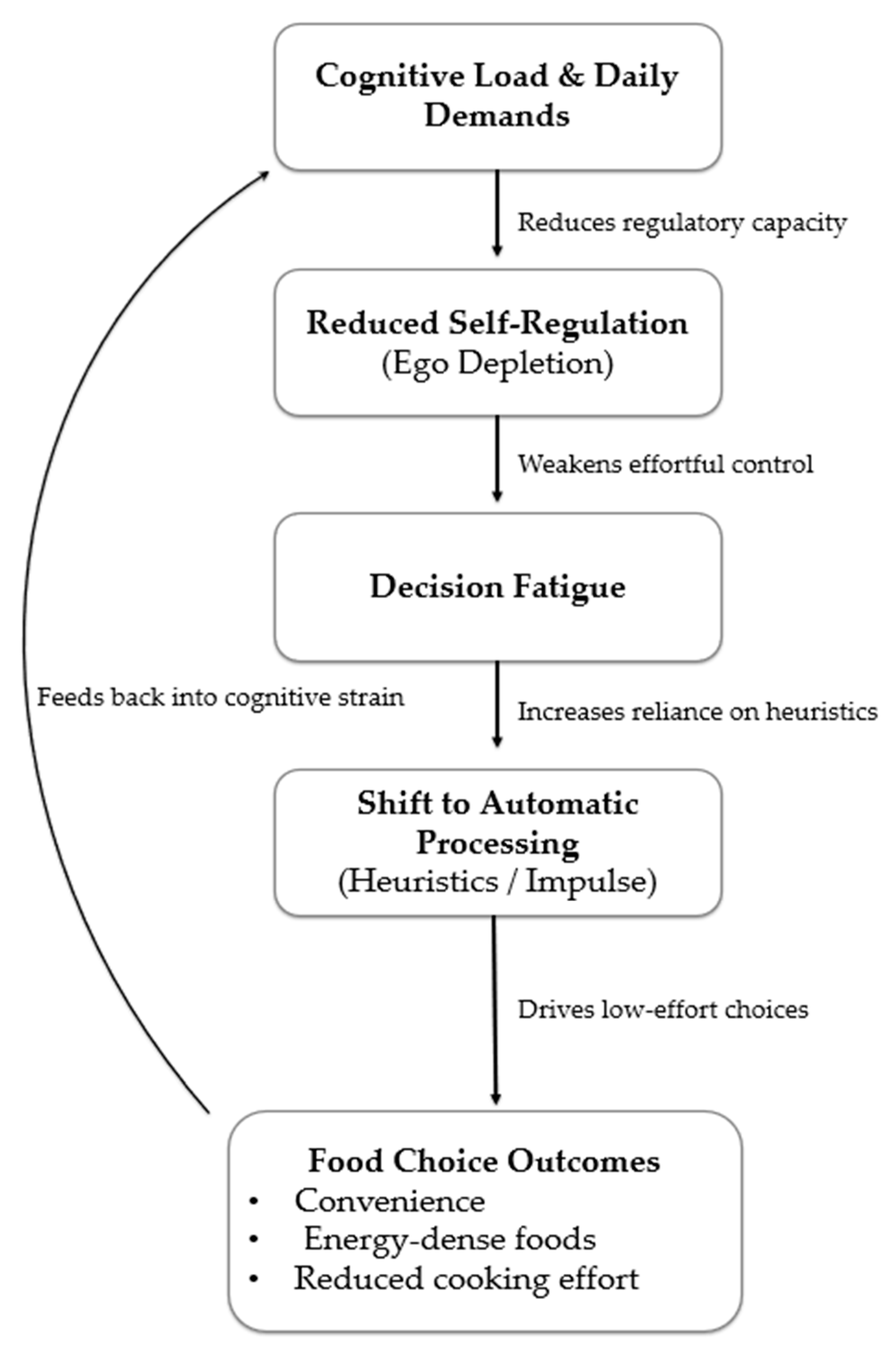 Nutrients 17 03901 g002 Nutrients 17 03901 g002