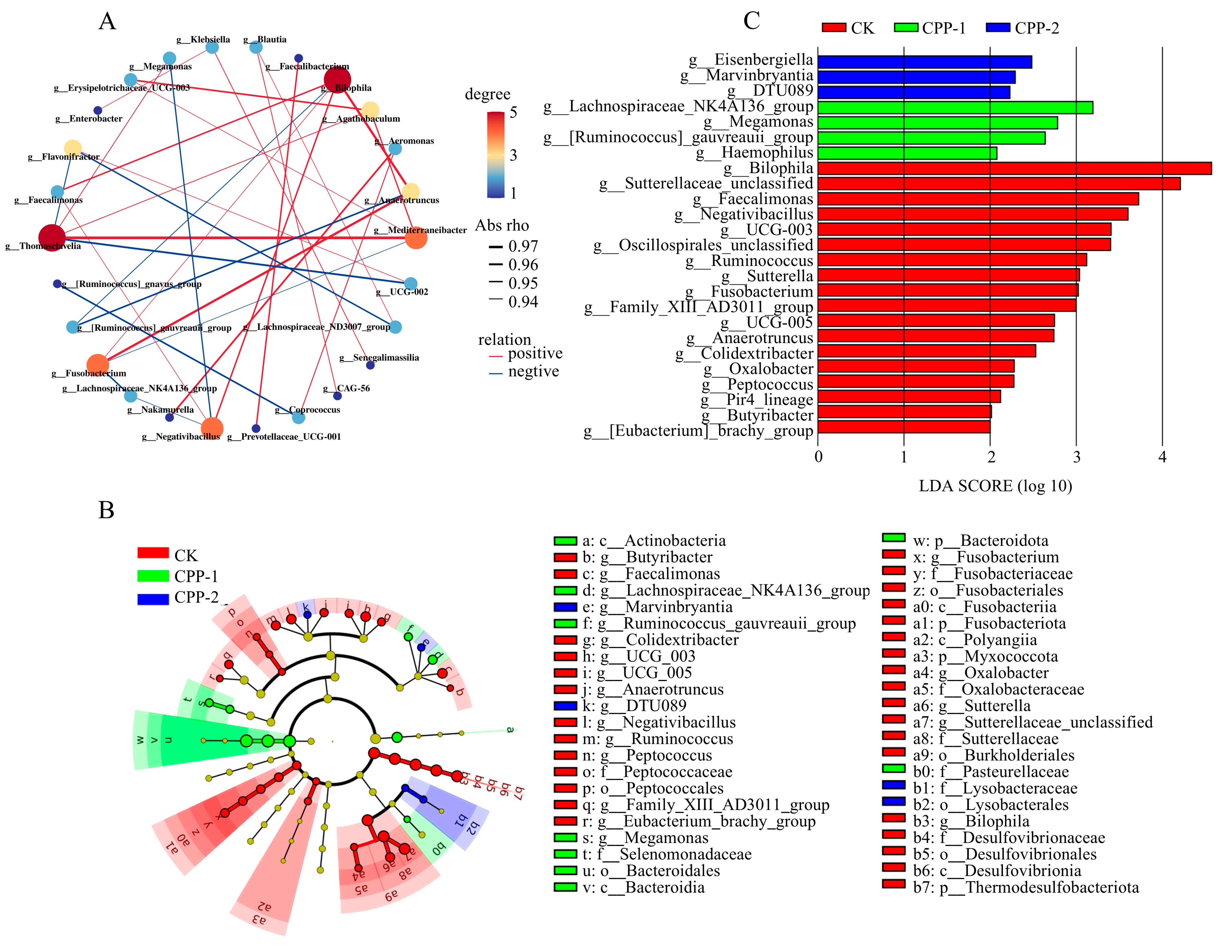 Nutrients 17 03912 g005 Nutrients 17 03912 g005