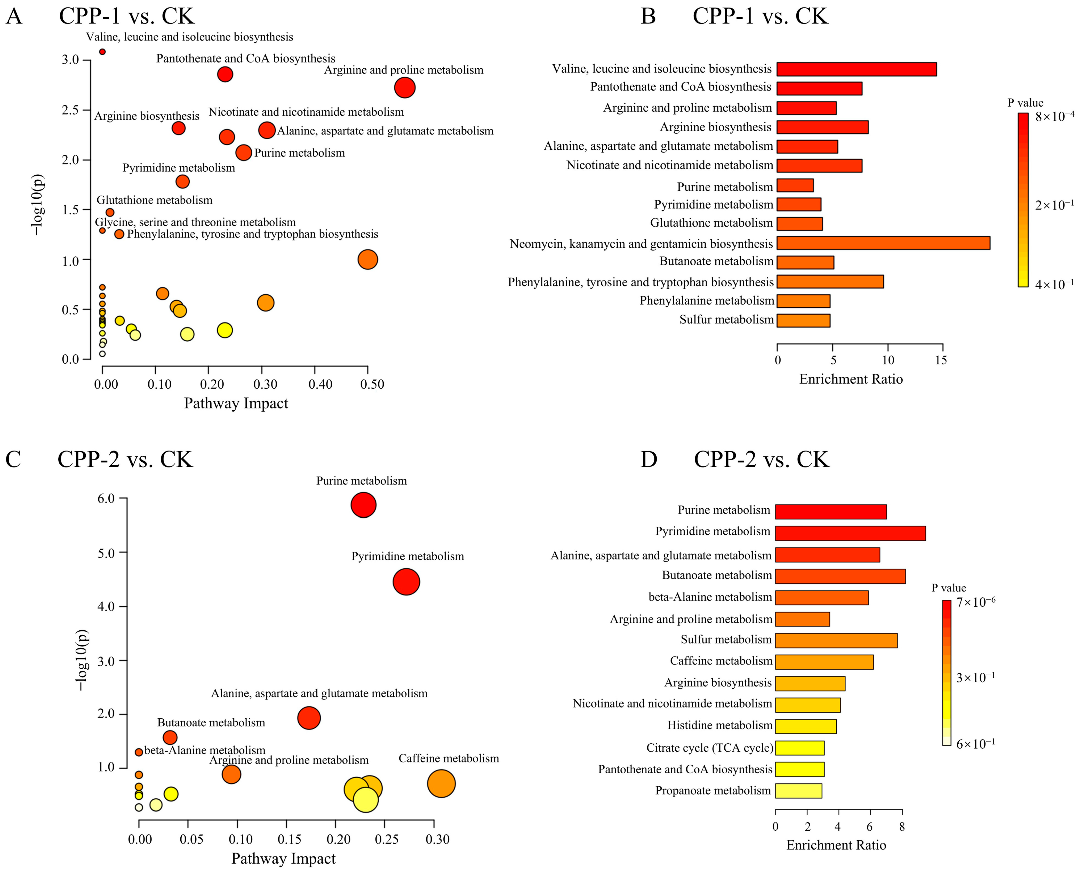 Nutrients 17 03912 g008 Nutrients 17 03912 g008