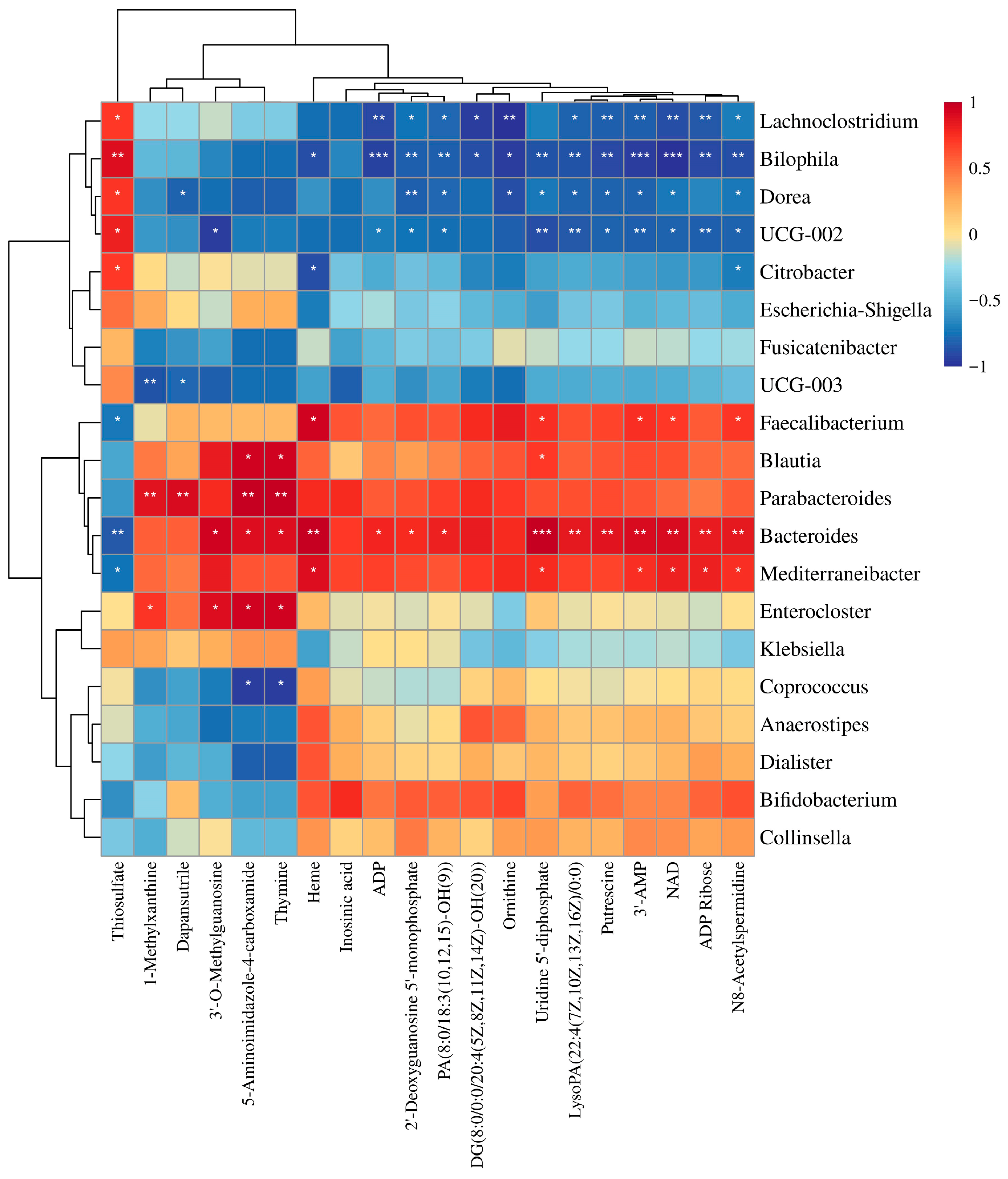Nutrients 17 03912 g009 Nutrients 17 03912 g009