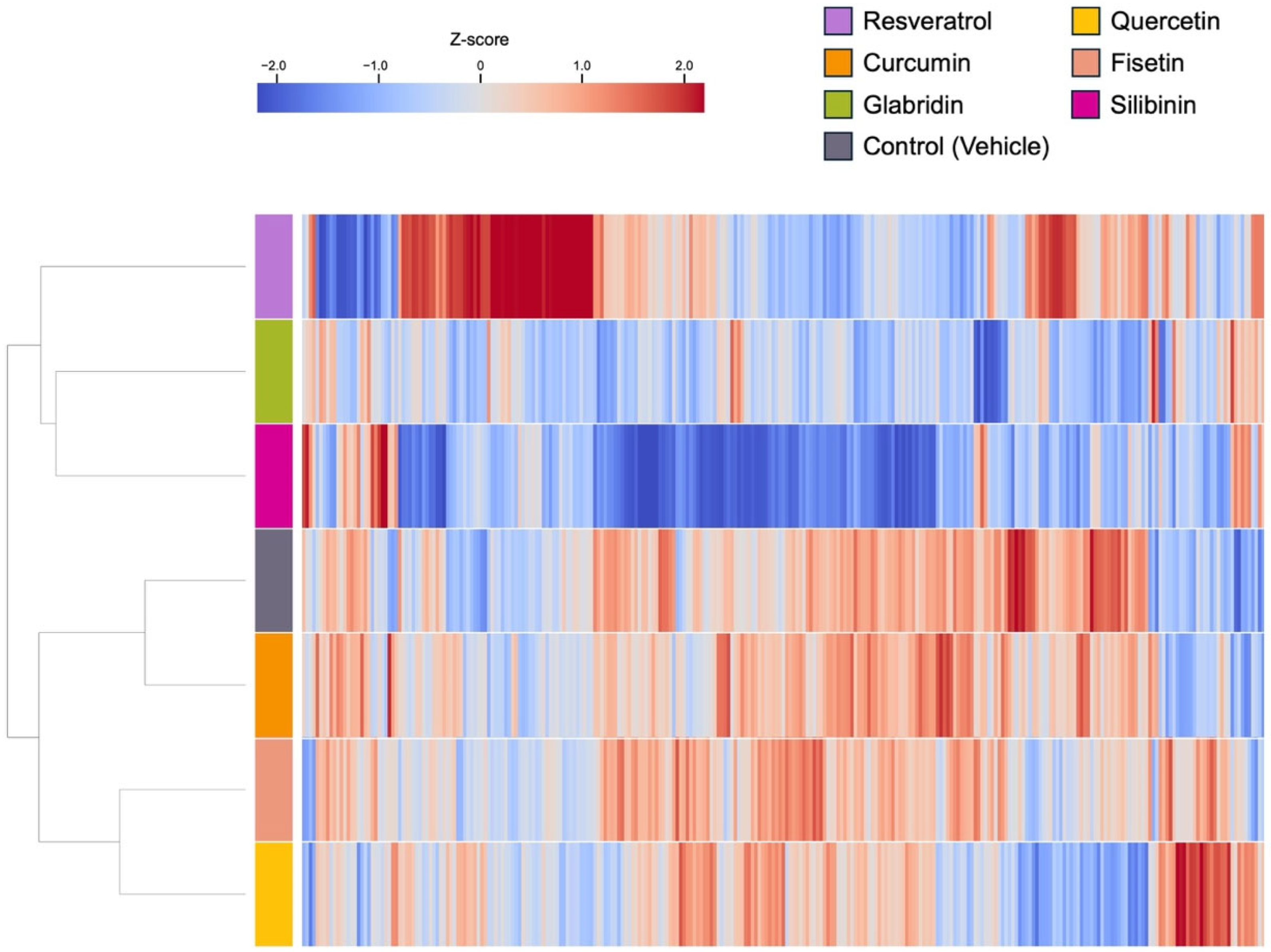 Nutrients 17 03913 g007 Nutrients 17 03913 g007