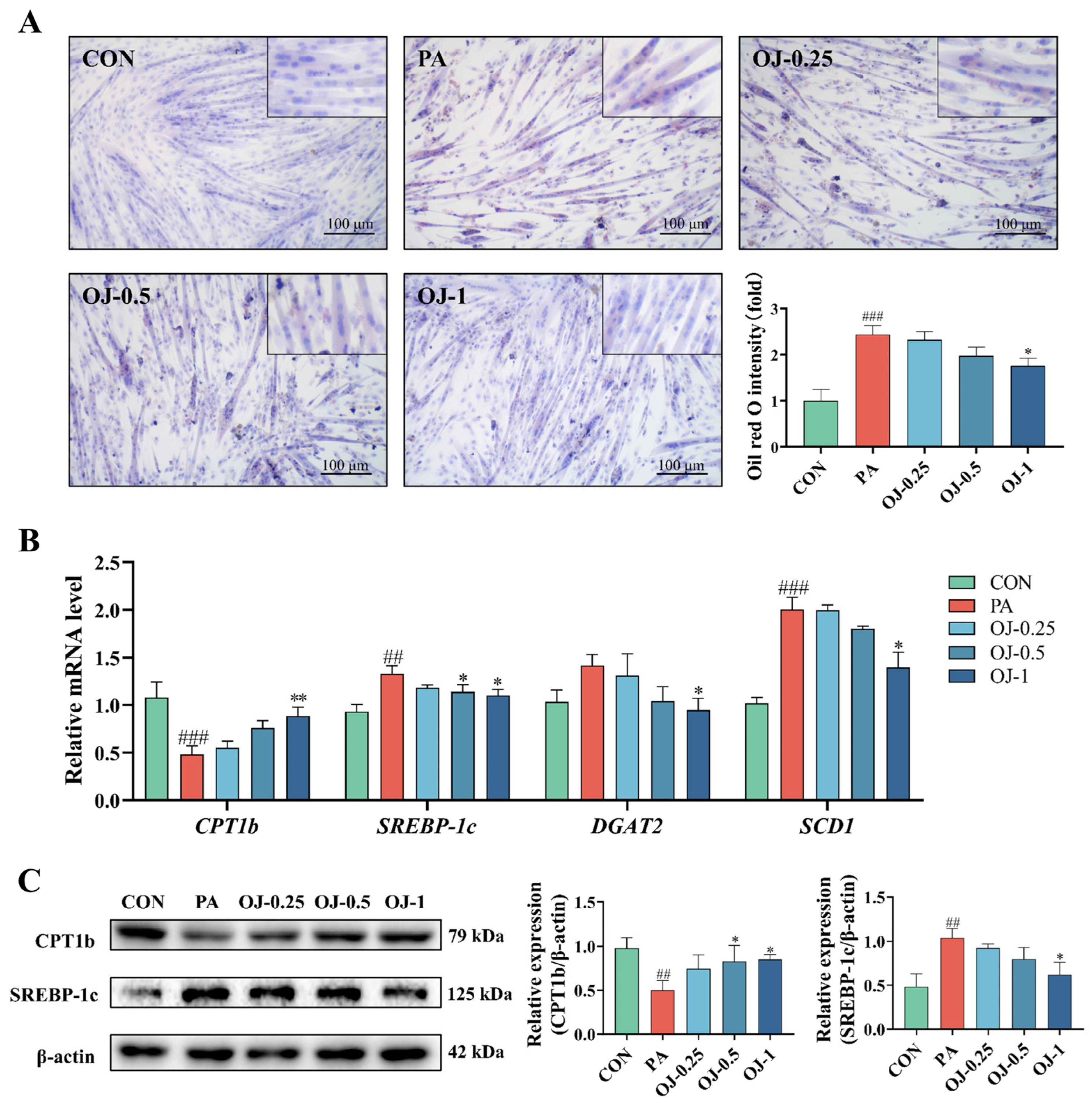 Nutrients 17 03946 g006